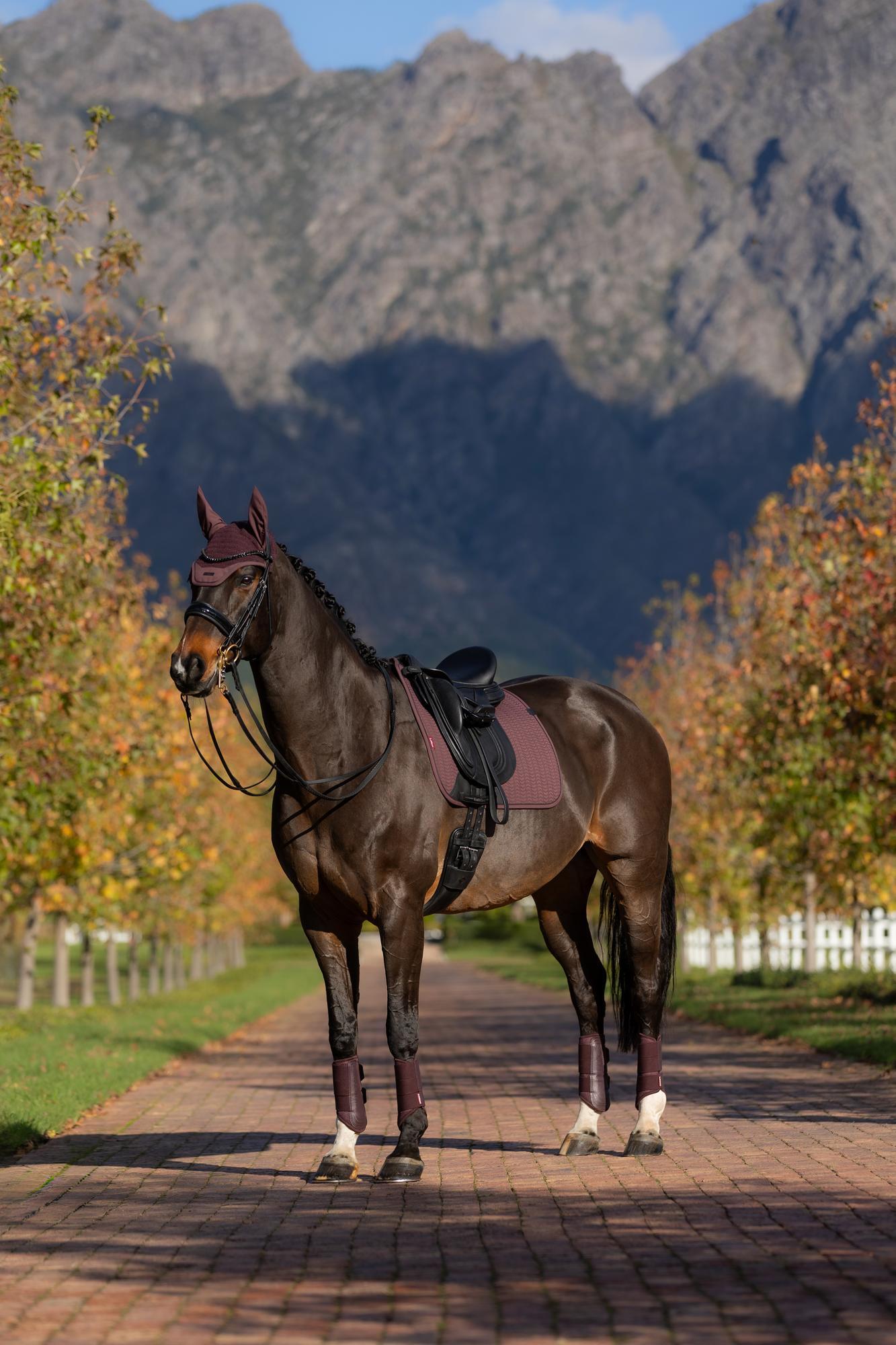 LeMieux Essence Dressage Square Damson