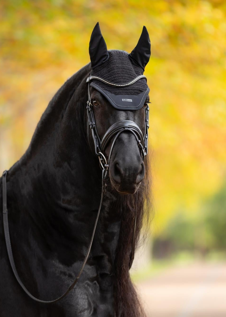 LeMieux Essence Fly Hood Black