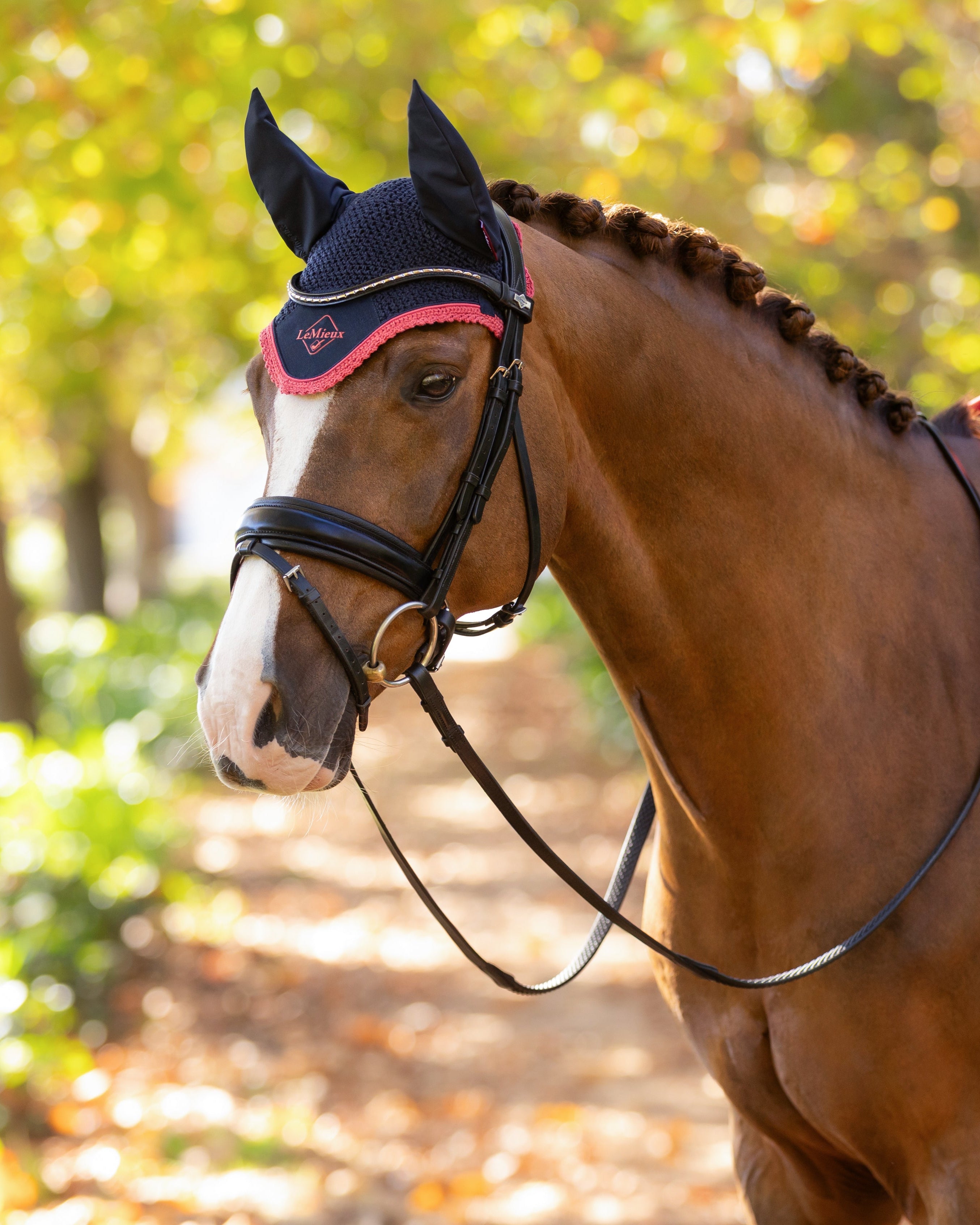 LeMieux Classic Fly Hood Navy/Cranberry
