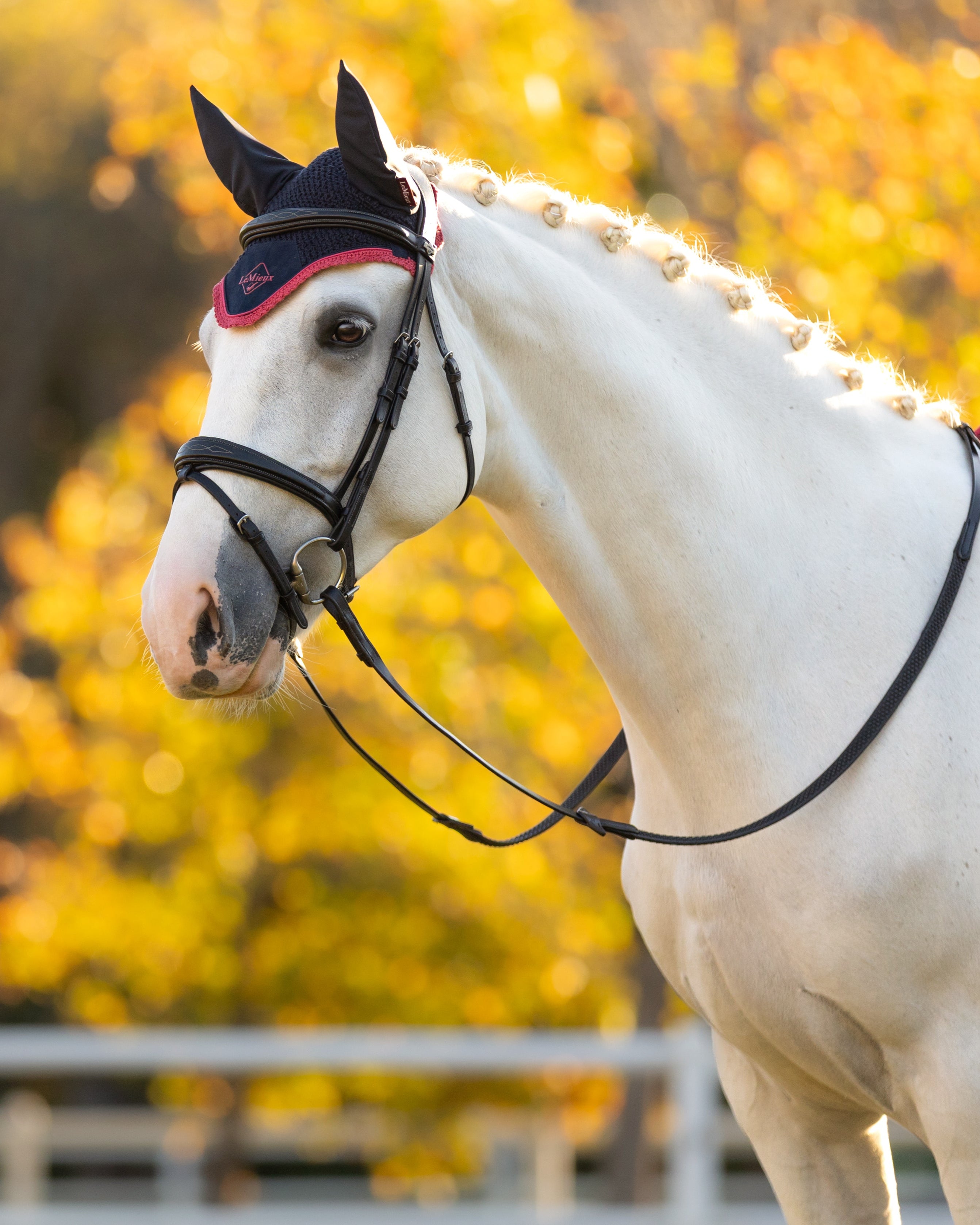 LeMieux Classic Fly Hood Navy/Cranberry