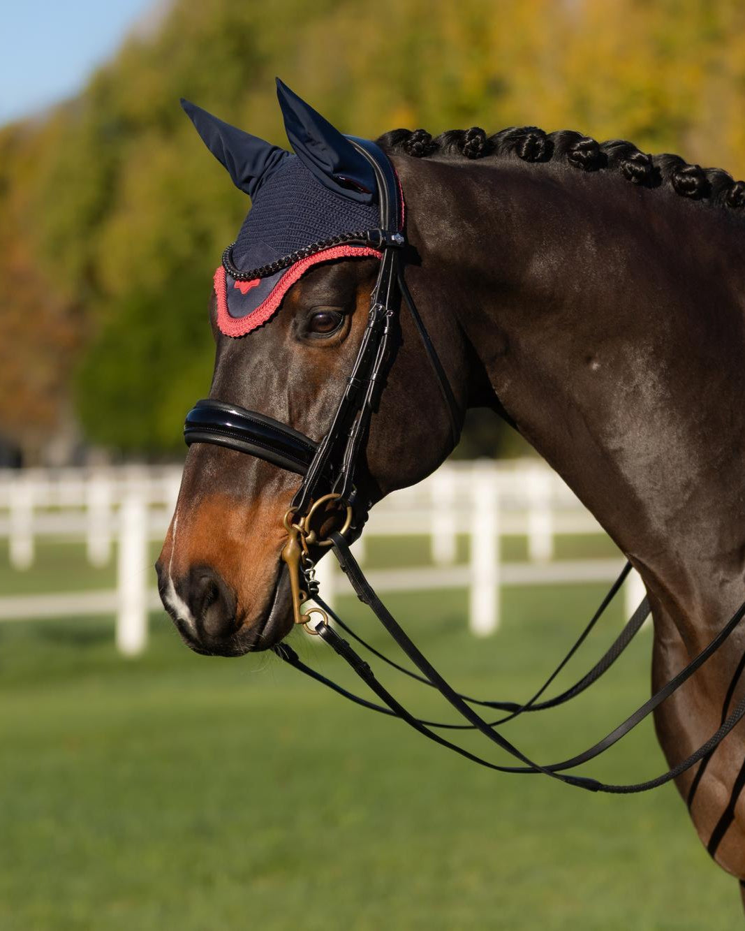 LeMieux Loire Fly Hood Navy/Cranberry