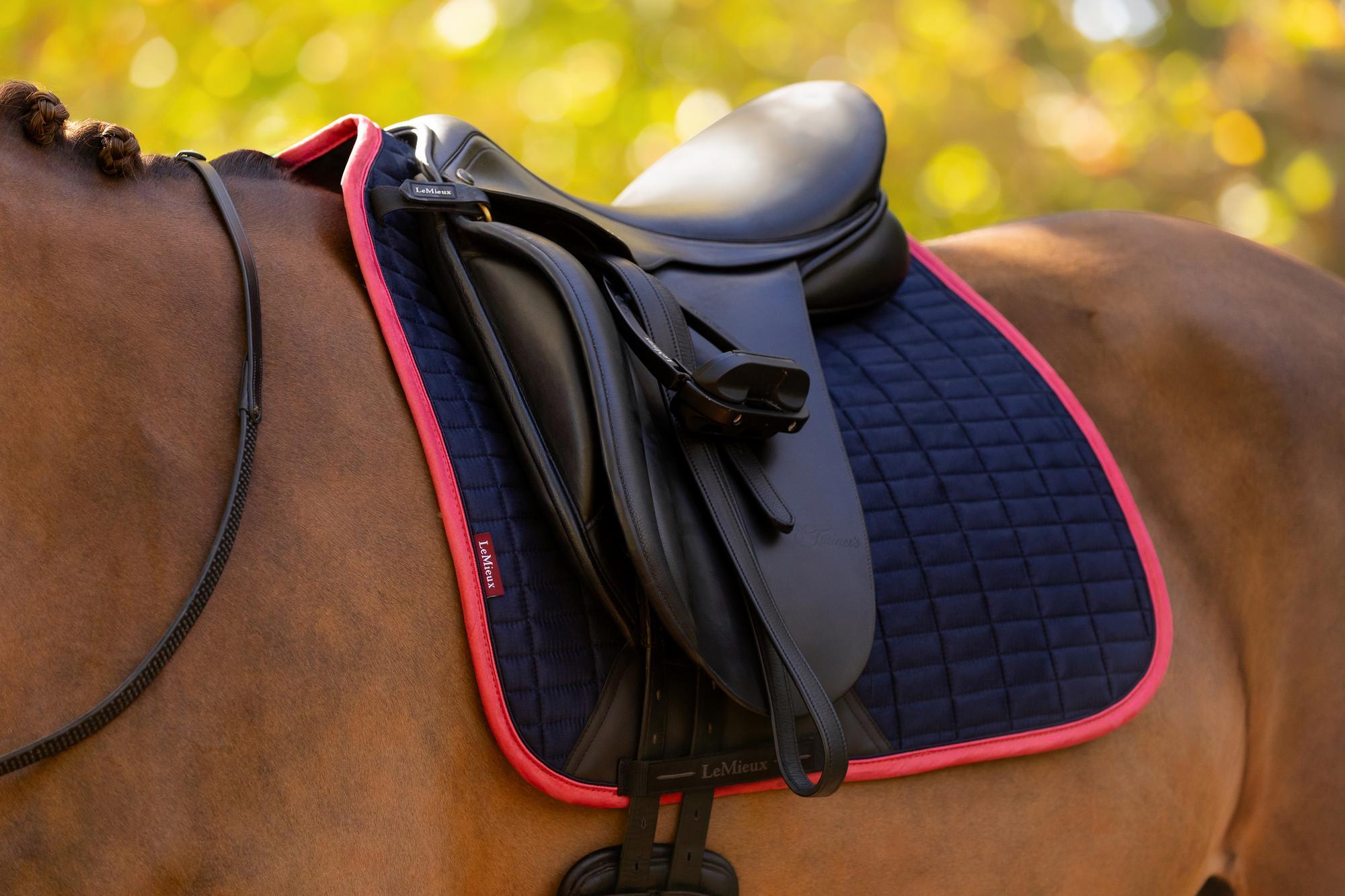 LeMieux Suede Dressage Square Navy/Cranberry