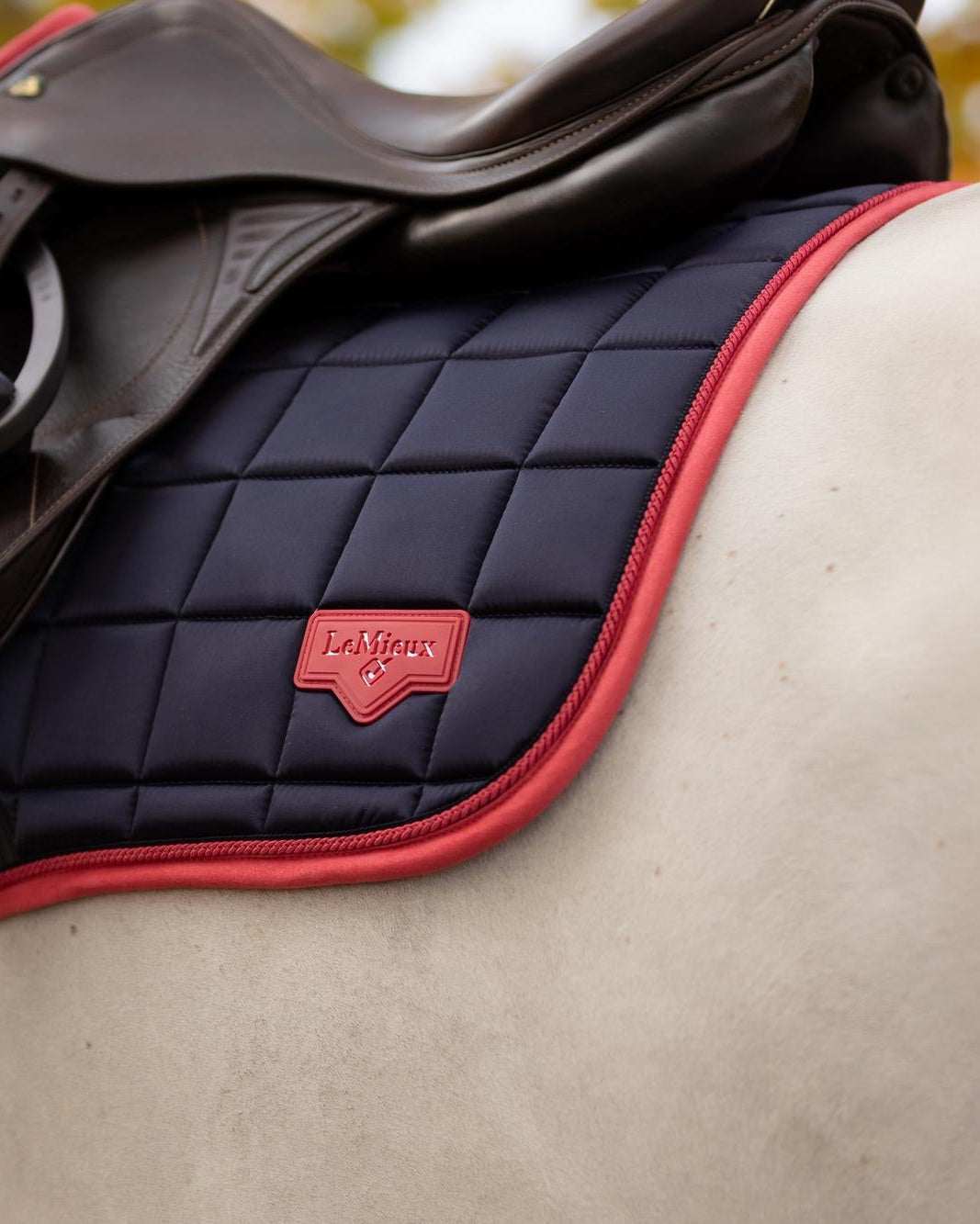 LeMieux Loire Classic Close Contact Square Navy/Cranberry