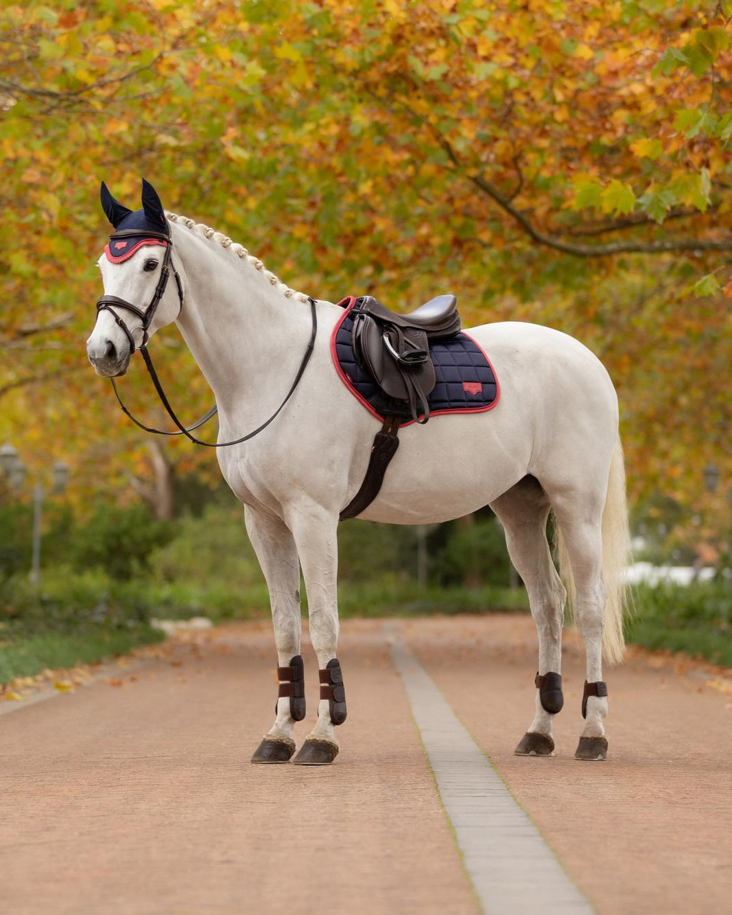 LeMieux Loire Classic Close Contact Square Navy/Cranberry