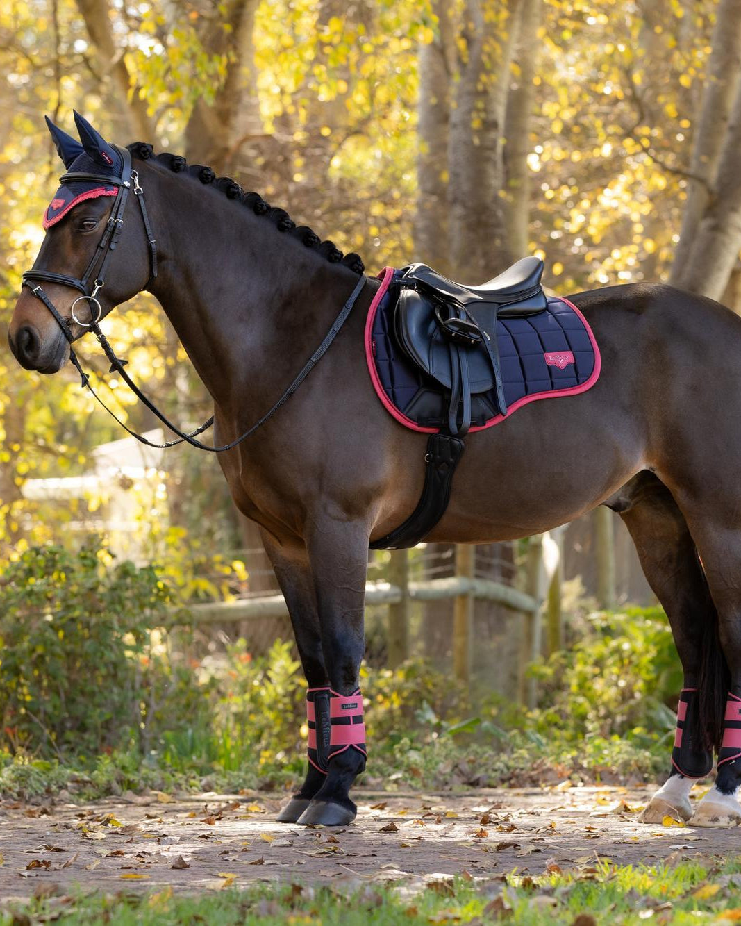 LeMieux Loire Classic GP Square Navy/Cranberry