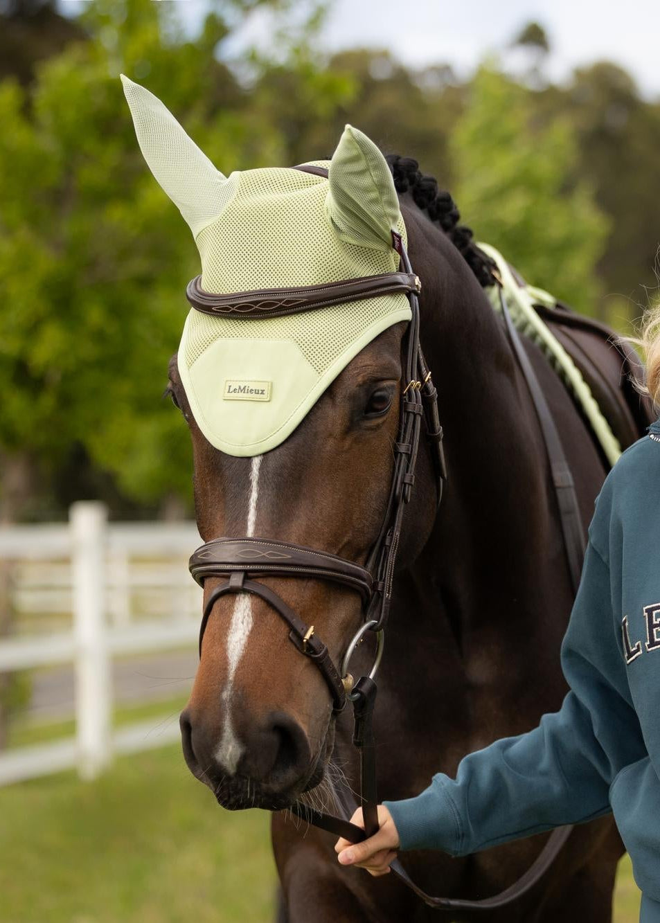 LeMieux Air-Tek Mesh Fly Hood Macaron | Horse Fly Veil