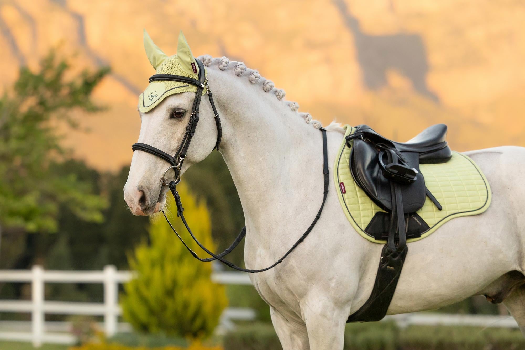 LeMieux Classic Fly Hood Macaron
