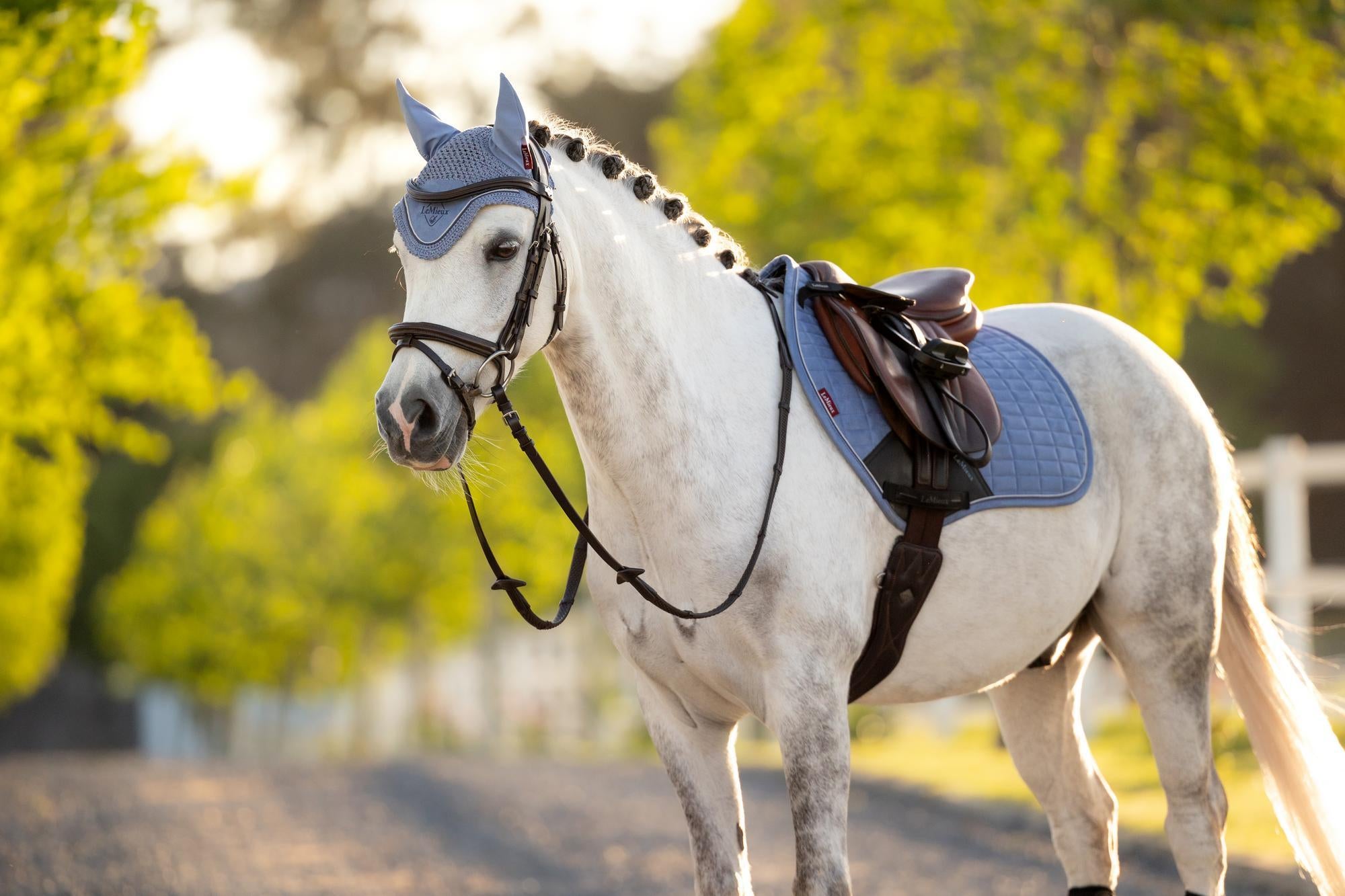 LeMieux Mini Classic Fly Hood Powder Blue | Equiflair