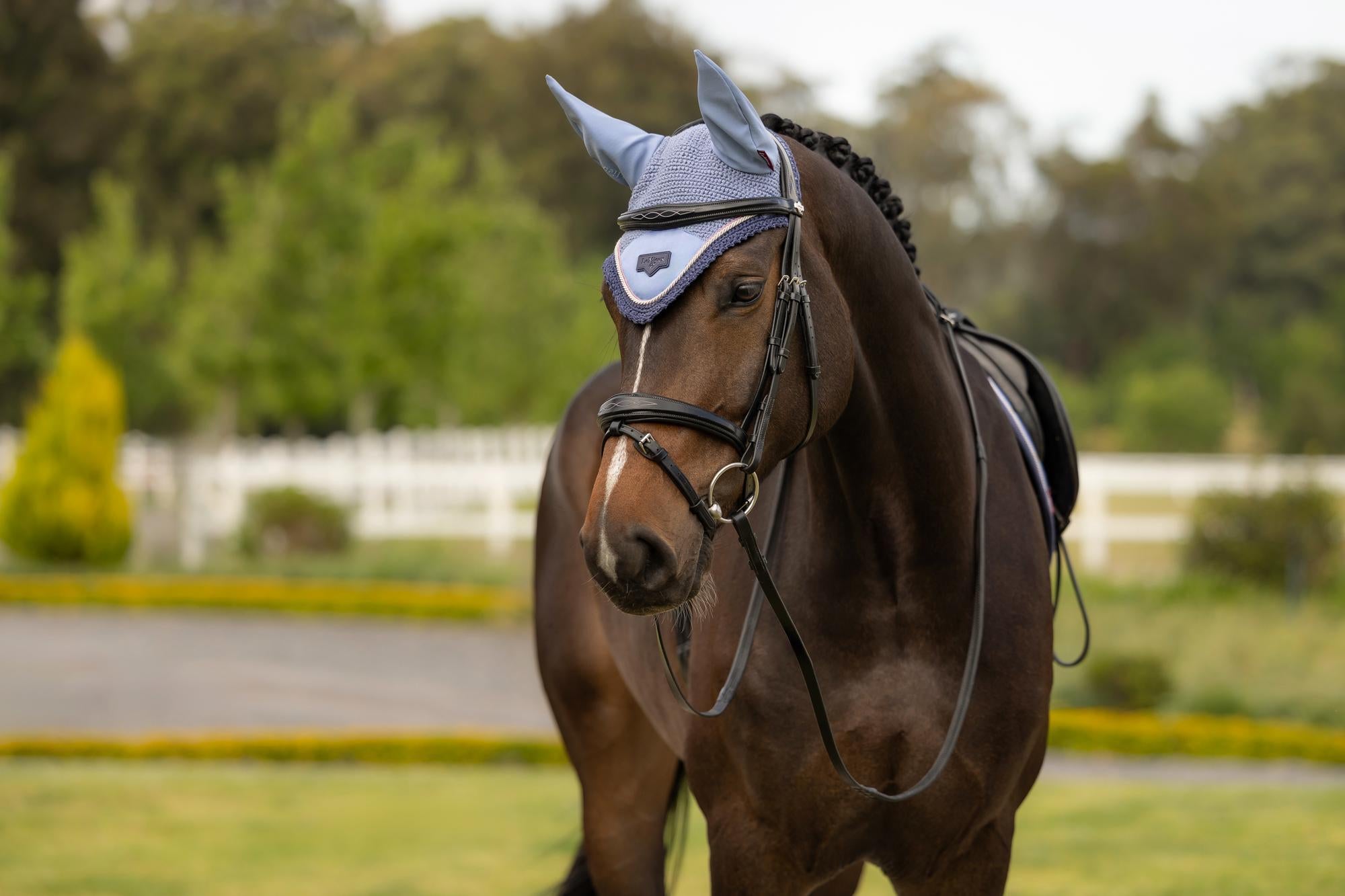 Stylish LeMieux Loire Fly Hood Powder Blue for Horses - Buy at Equiflair
