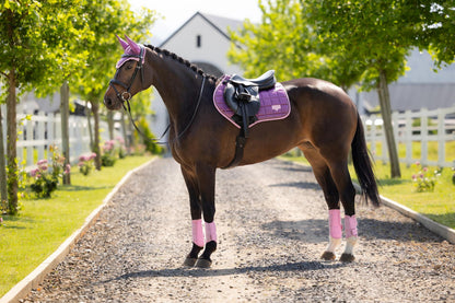 Equestrian horse with Lemieux Loire Classic Close Contact Square Mallow Saddle Pad