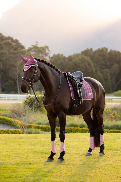 LeMieux Loire Classic Dressage Saddle Pad Mallow on Horse | Equiflair