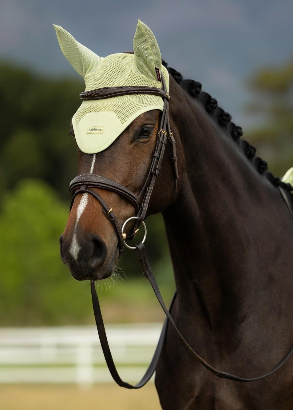 LeMieux Air-Tek Mesh Fly Hood Macaron | Horse Fly Veil