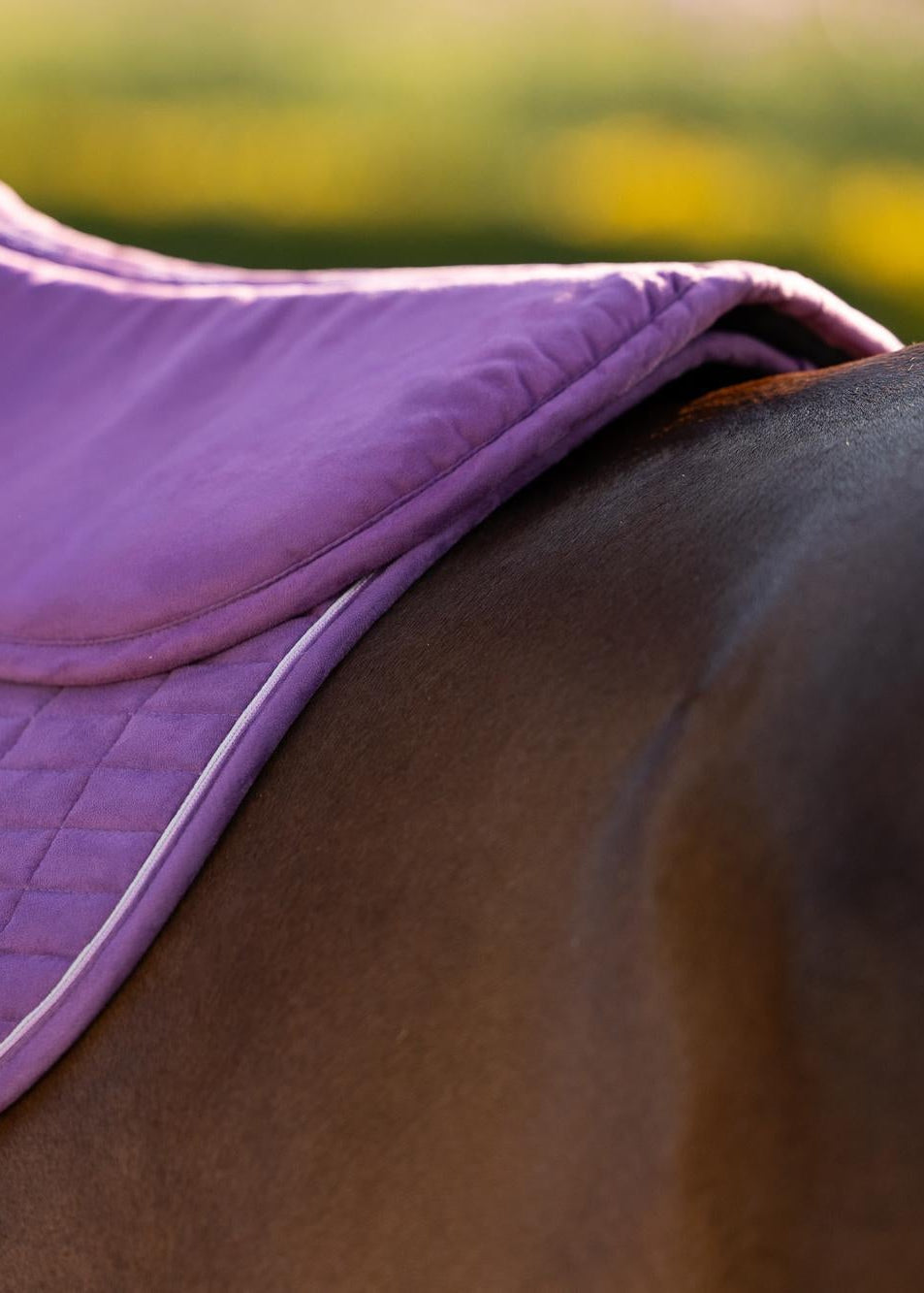 LeMieux Suede Half Pad Mallow purple saddle pad on a horse's back