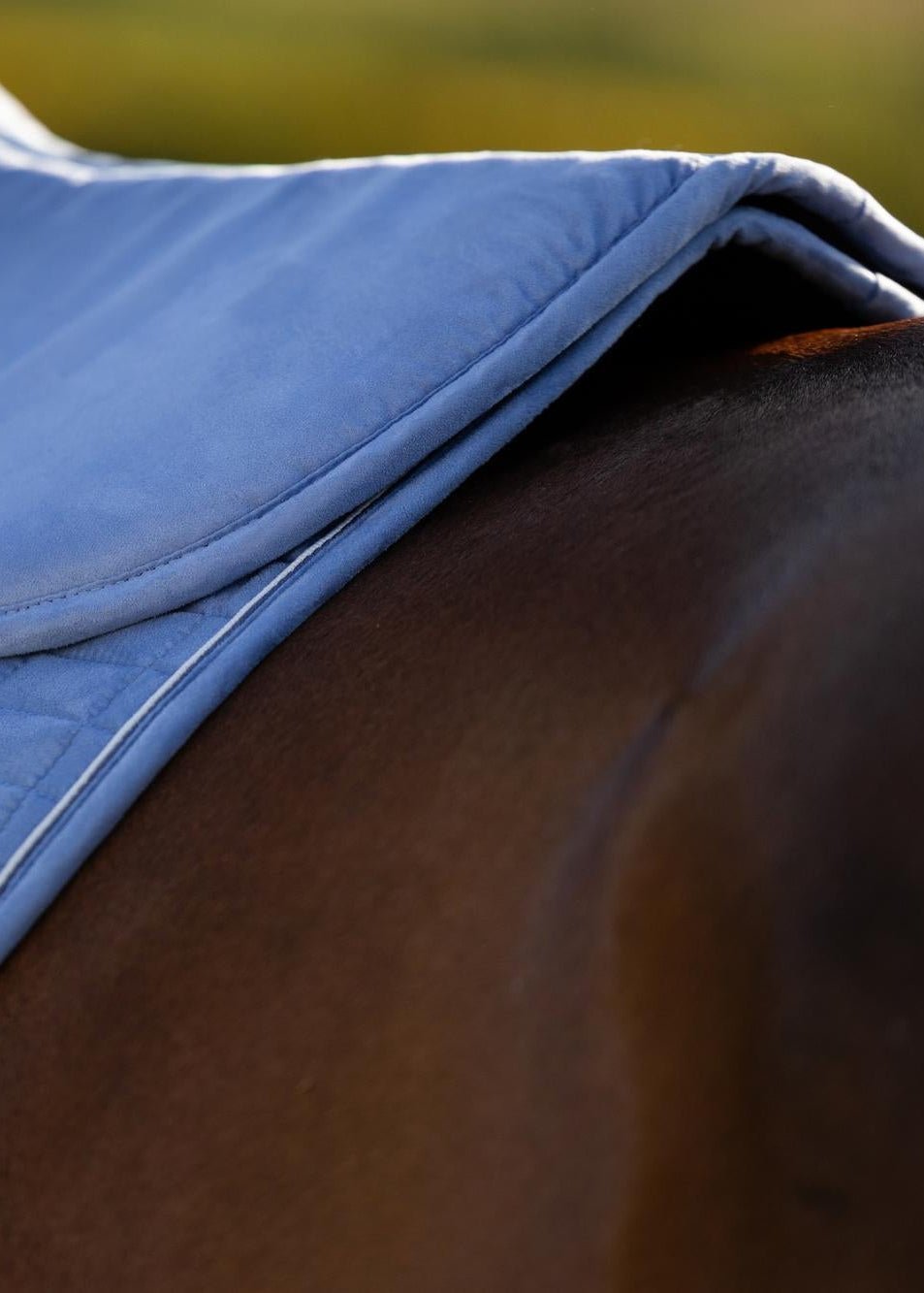 LeMieux Suede Half Pad Powder Blue | Equiflair