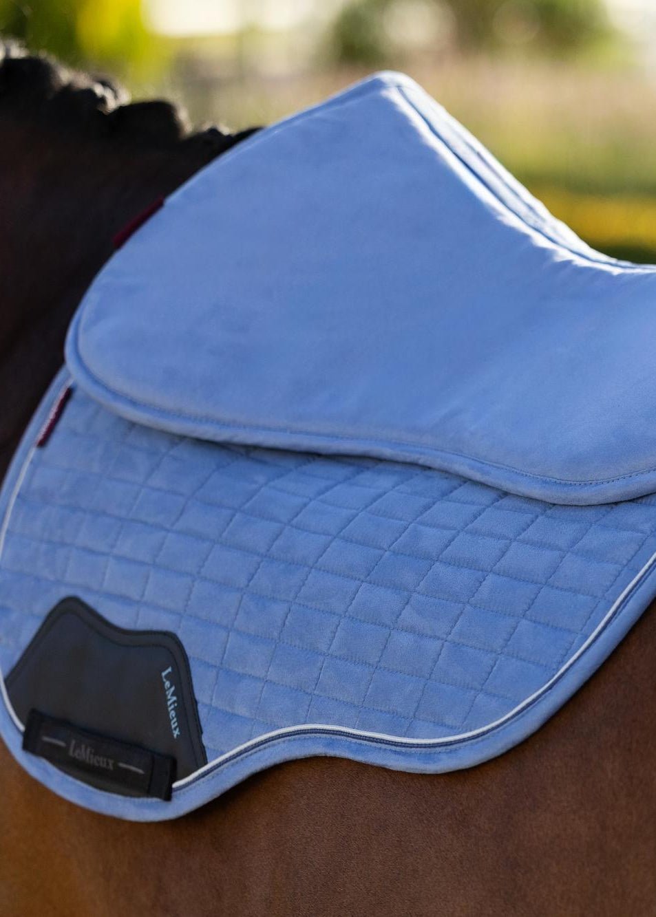 LeMieux Suede Half Pad Powder Blue | Equiflair