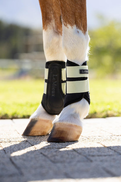 LeMieux Mini Air - Tek Grafter Brushing Boots Macaron | Equiflair