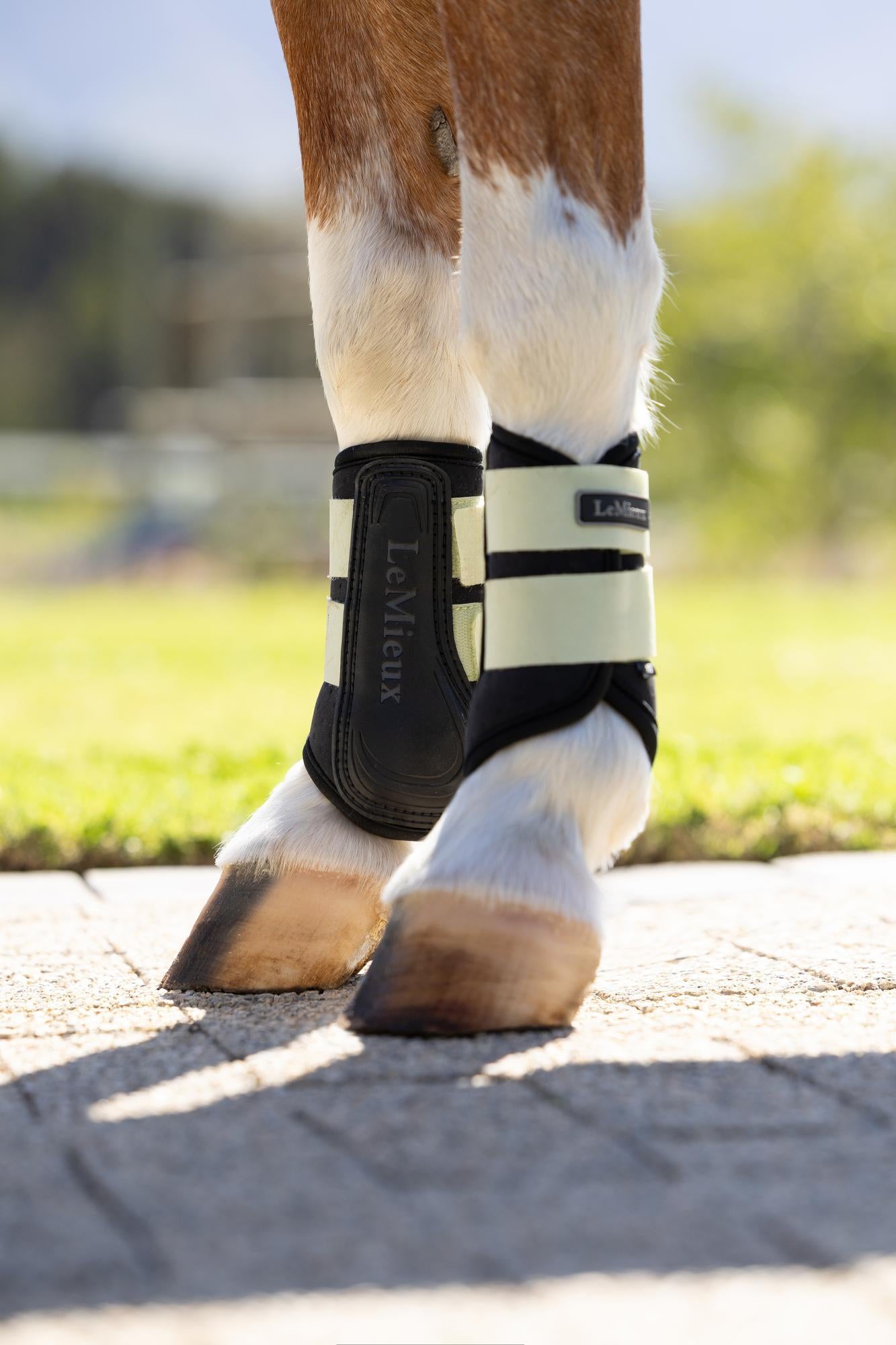 LeMieux Mini Air-Tek Grafter Brushing Boots Macaron