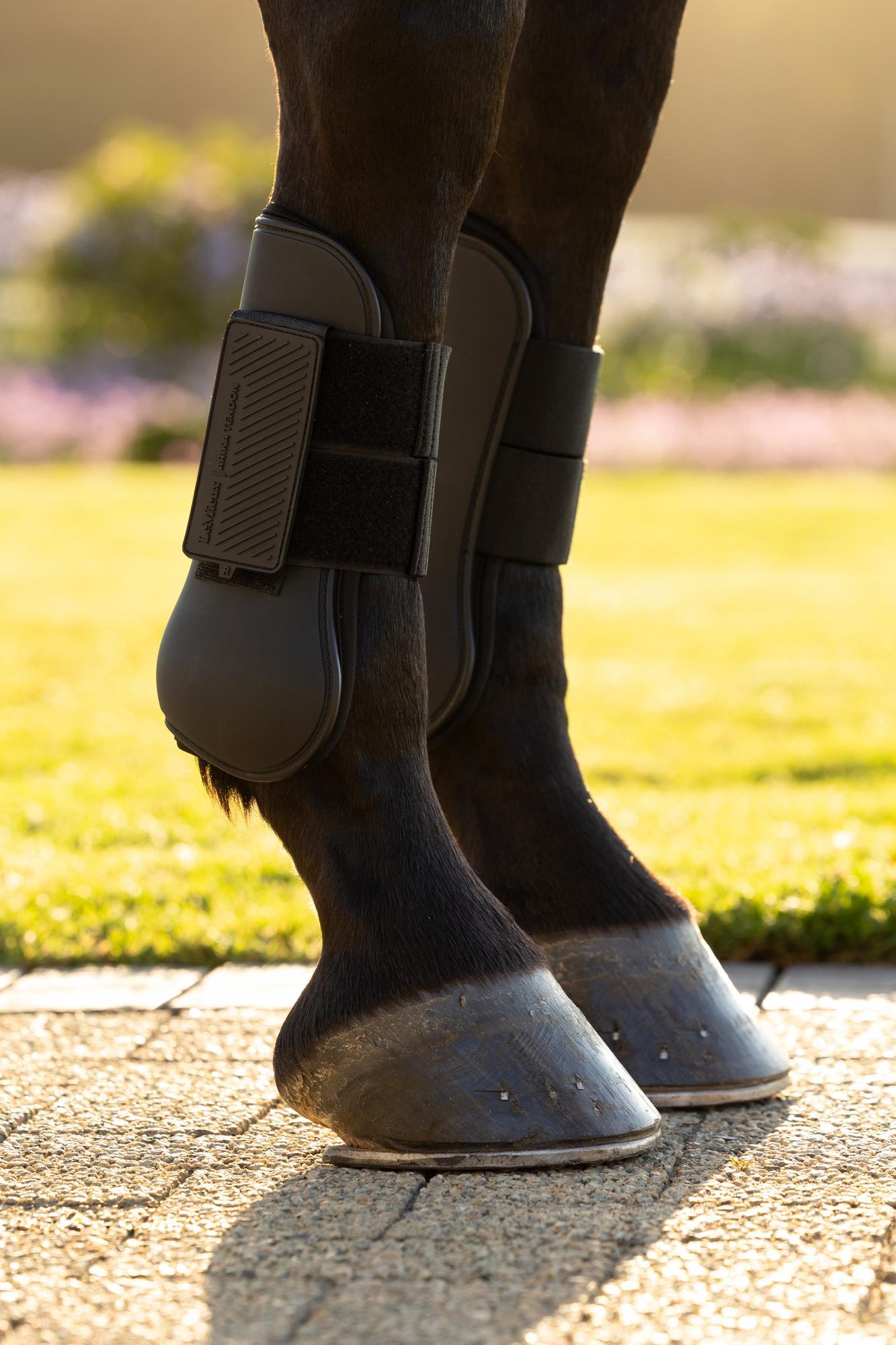 LeMieux Arika Tendon Boot Black | Equiflair