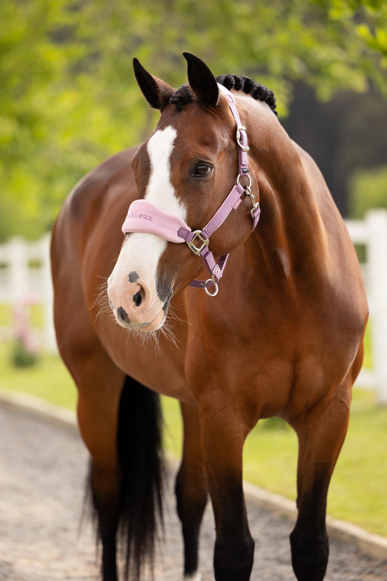 LeMieux Vogue Headcollar & Leadrope Mallow