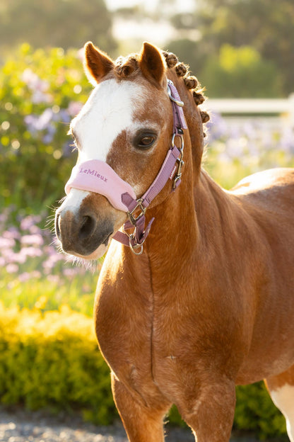 LeMieux Mini Vogue Headcollar & Leadrope Mallow | Equiflair