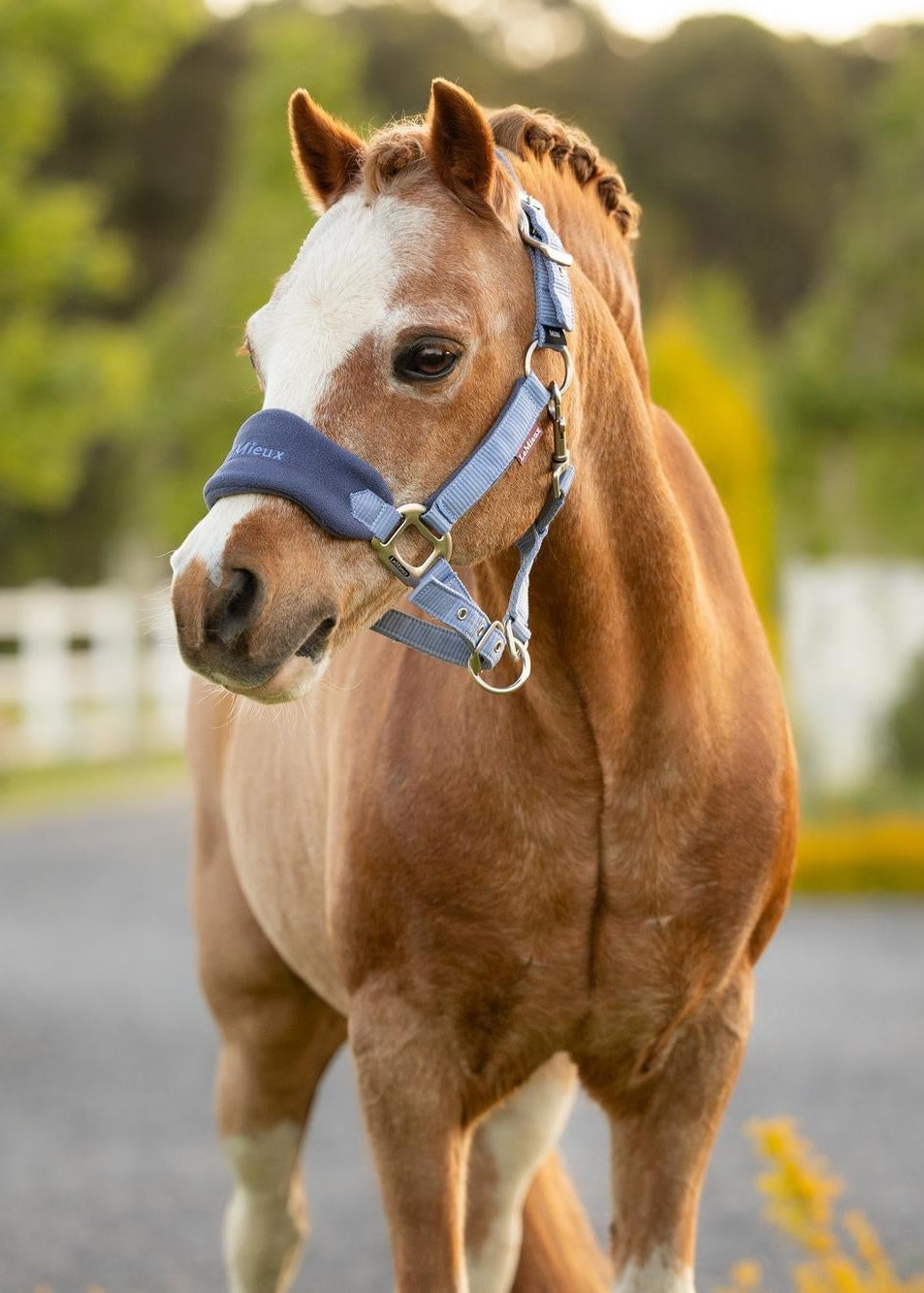 LeMieux Mini Vogue Headcollar & Leadrope Powder Blue