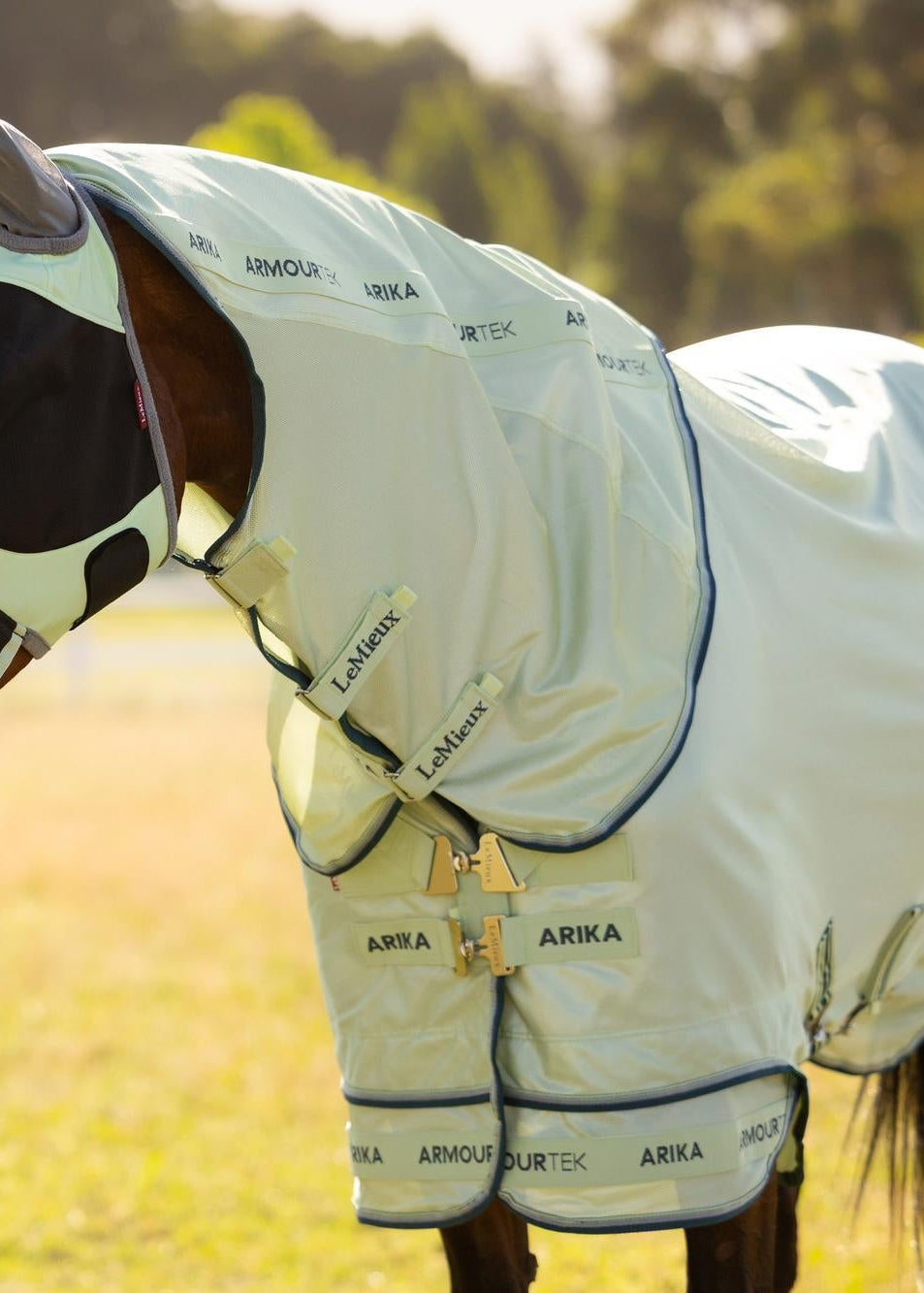 LeMieux Arika Armour-Tek Fly Rug Macaron