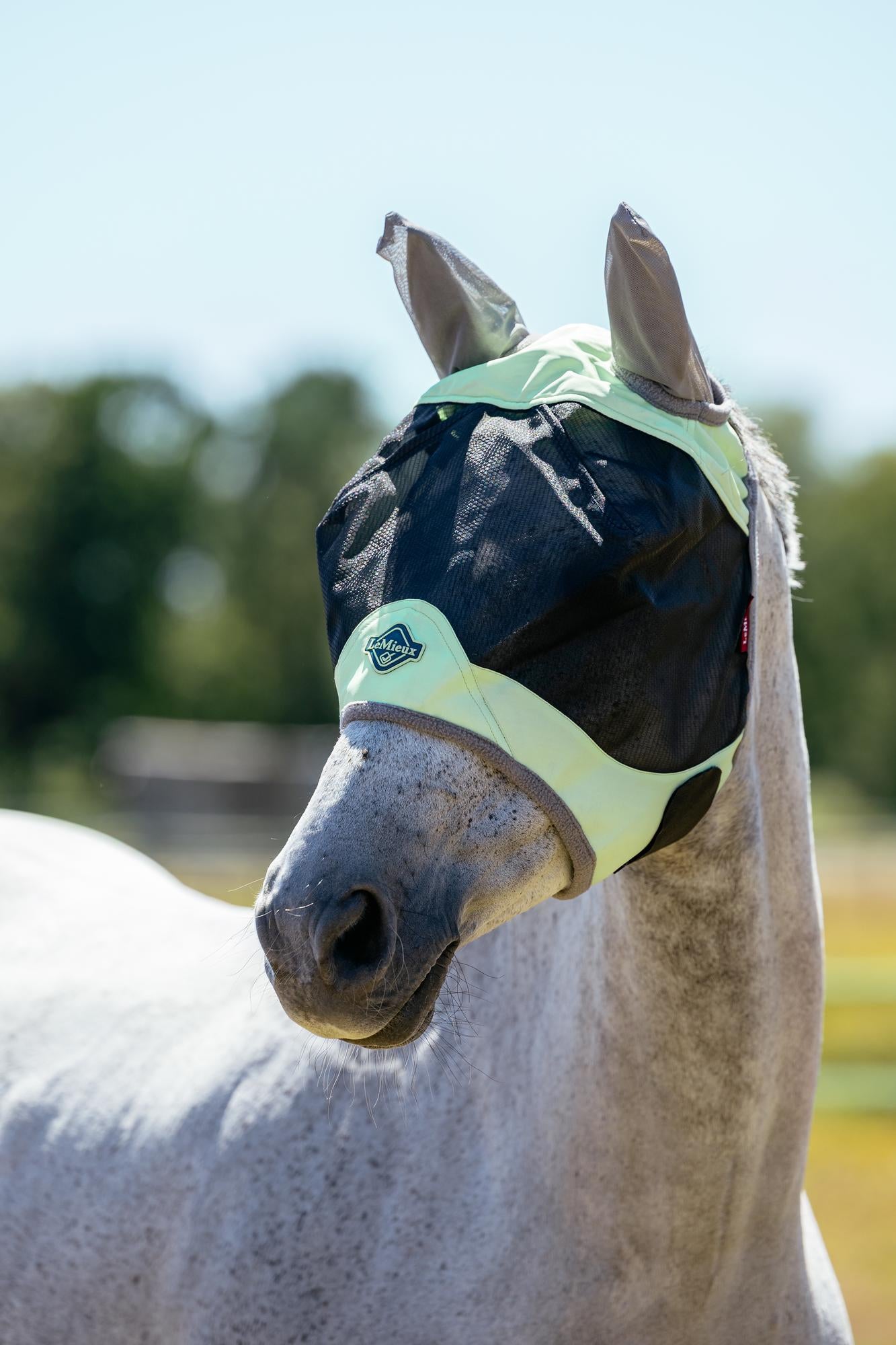 LeMieux Visor-Tek half fly mask Macaron breathable horse fly mask UV protection mesh