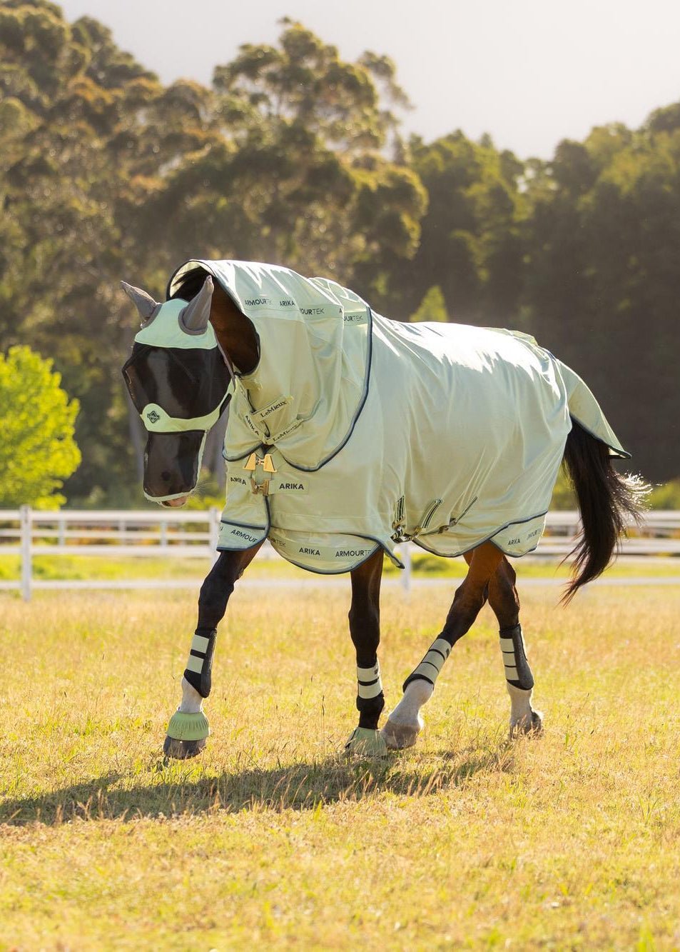 LeMieux Arika Armour - Tek Fly Rug Macaron | Equiflair
