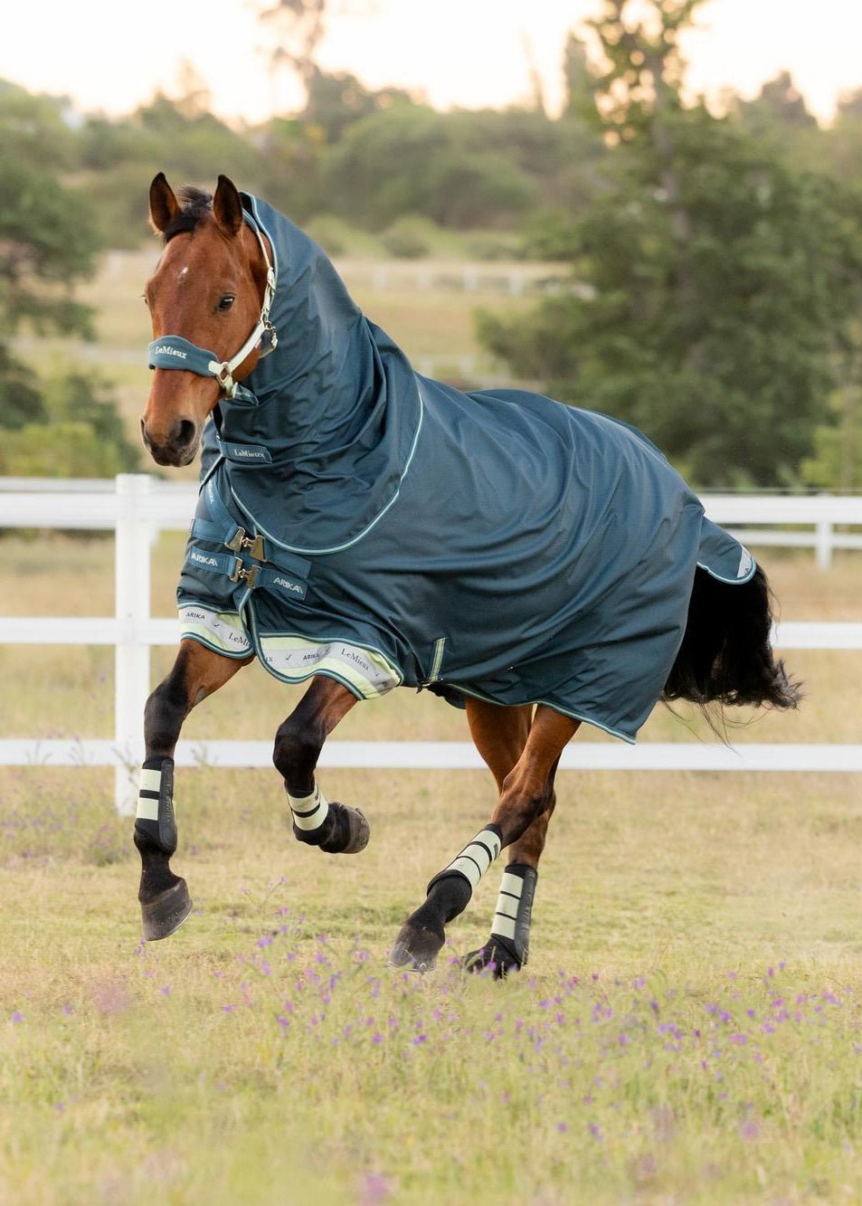 LeMieux Arika Ripstop 0g Turnout Rug Jungle | Equiflair