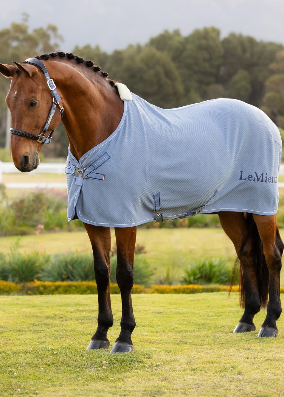 LeMieux Kudos Bamboo Cooler Powder Blue | Equiflair