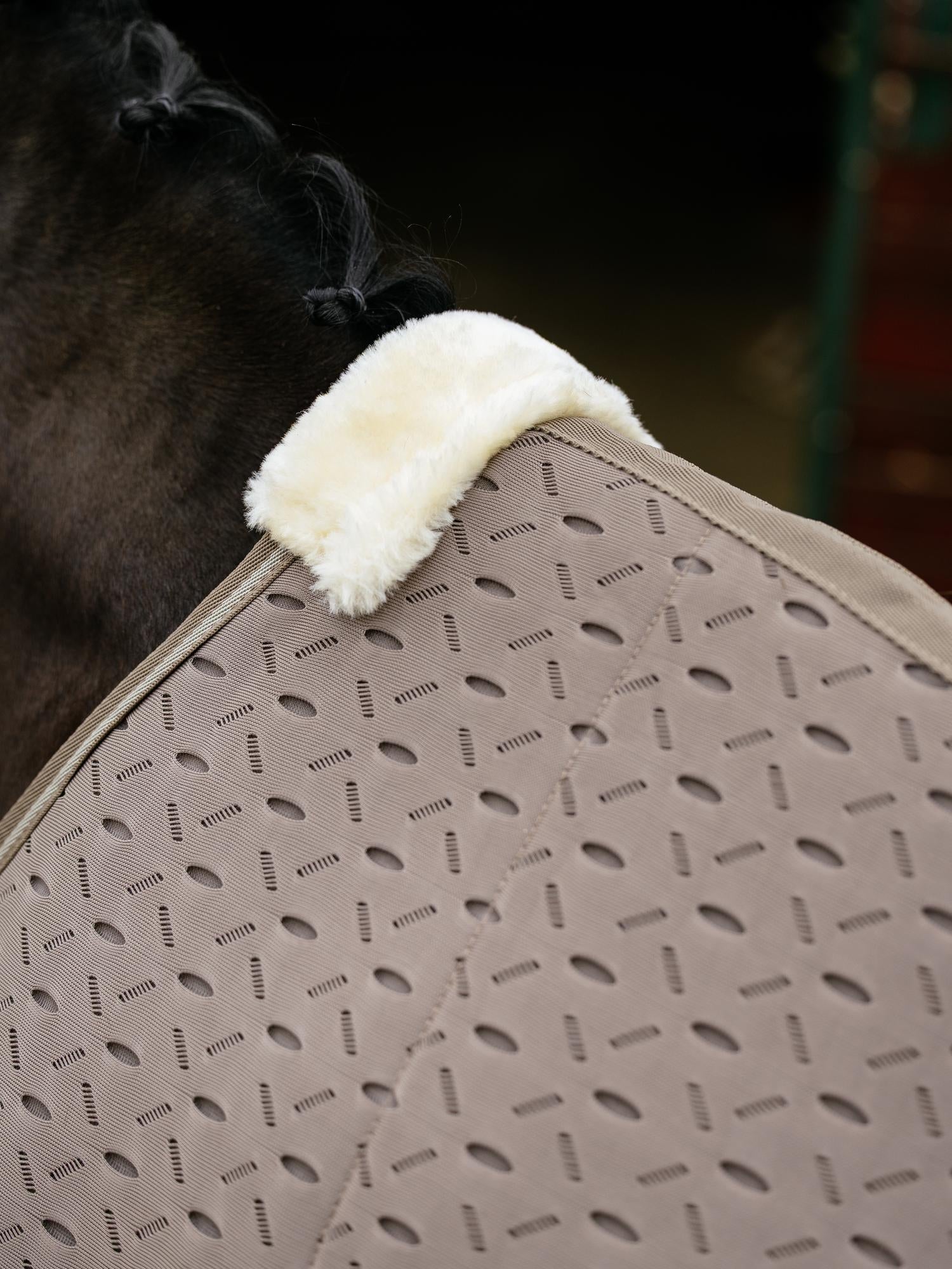 LeMieux Kudos 3D Mesh Travel Rug Pecan | Equiflair