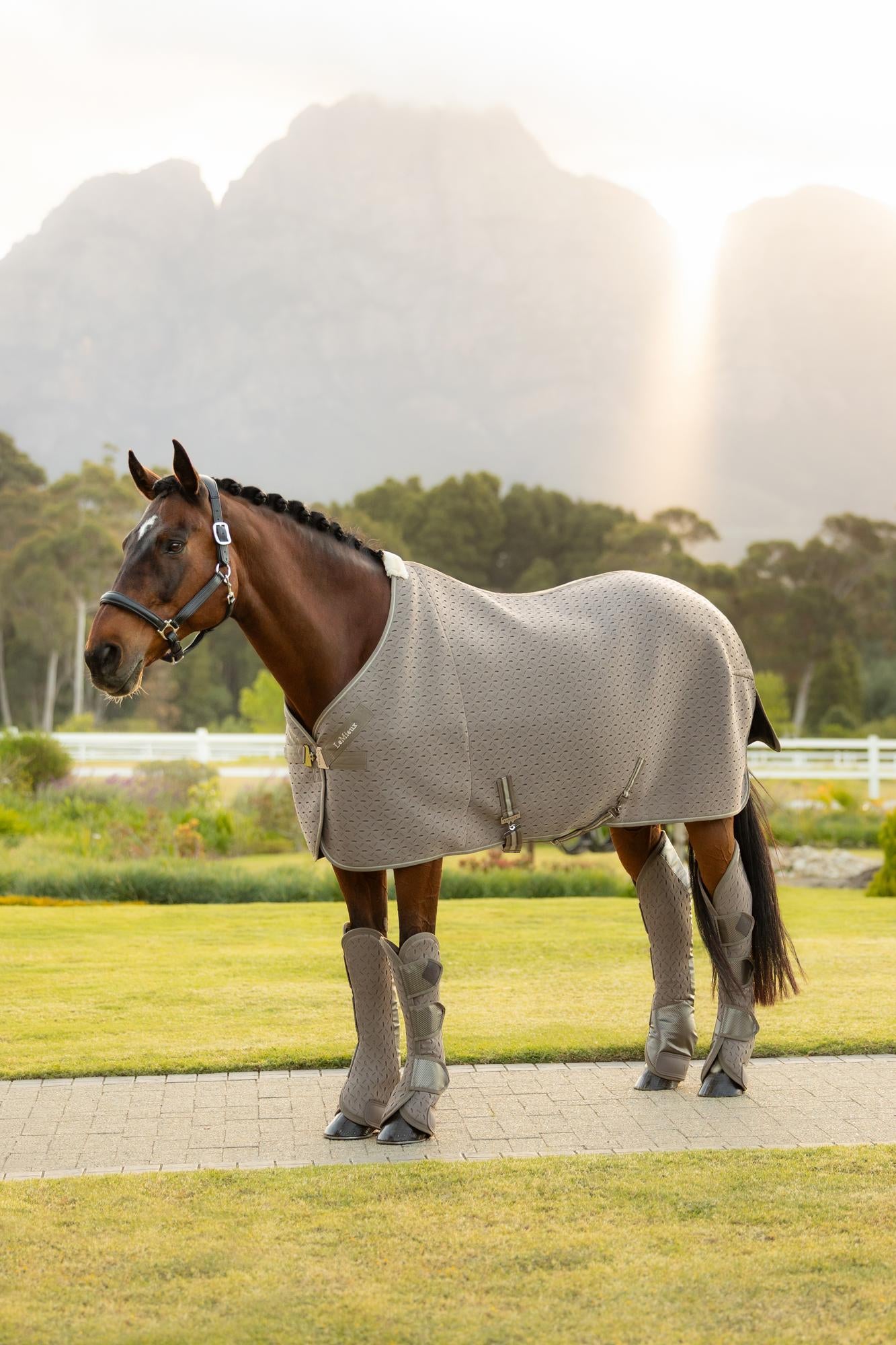 LeMieux Kudos 3D Mesh Travel Rug Pecan | Equiflair