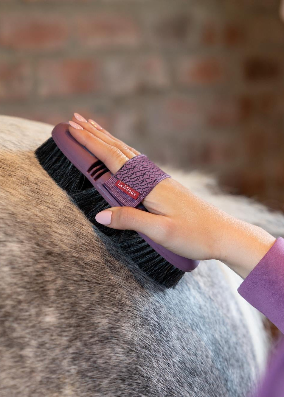 LeMieux Flexi Horse Hair Body Brush Powder Blue