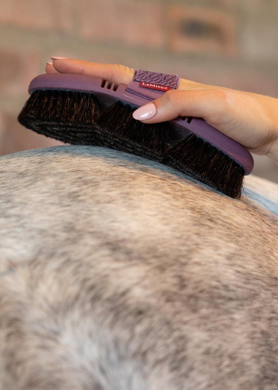 LeMieux Flexi Horse Hair Body Brush Powder Blue