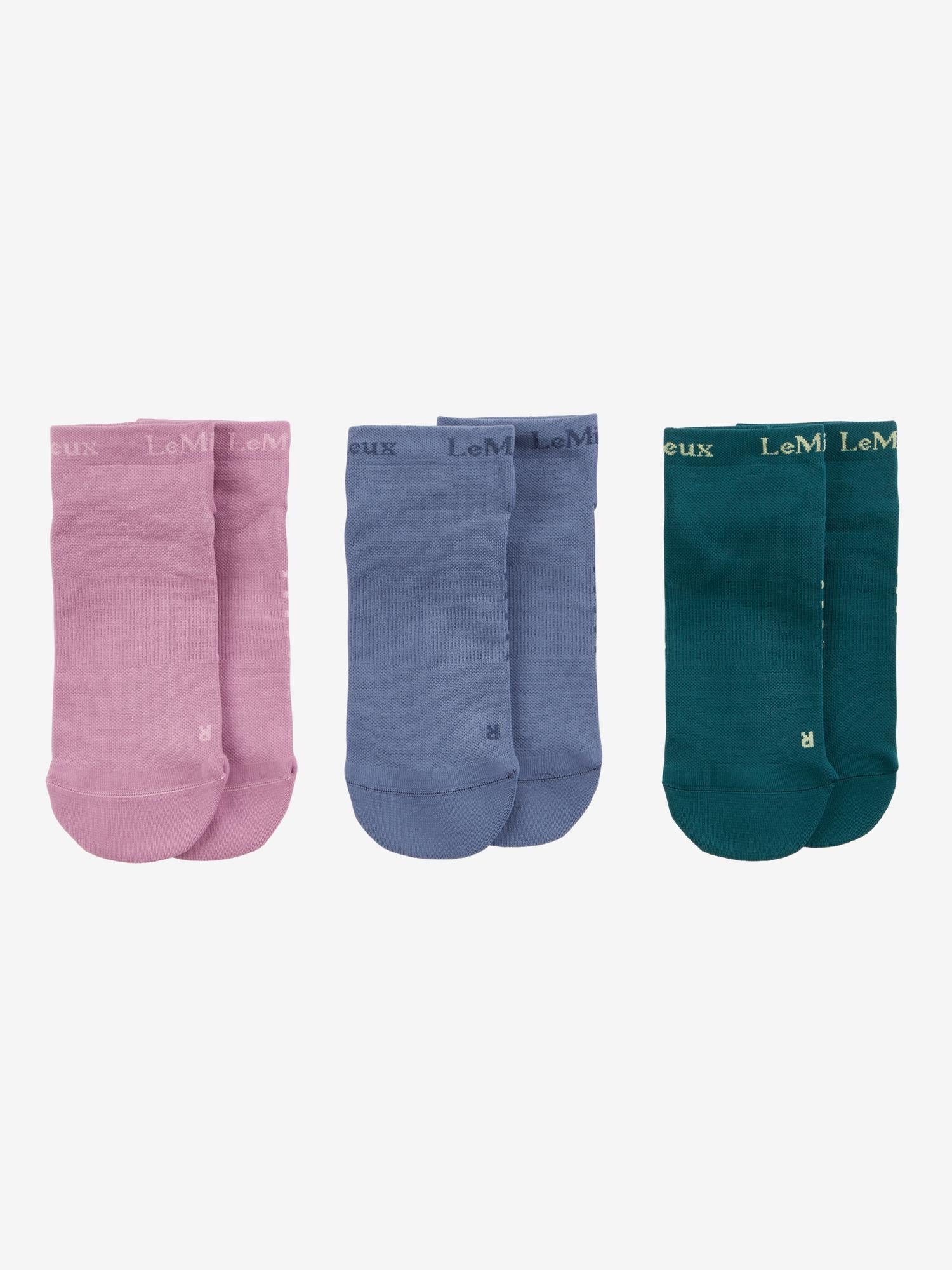 LeMieux Trainer Sock 3 Pack Multi