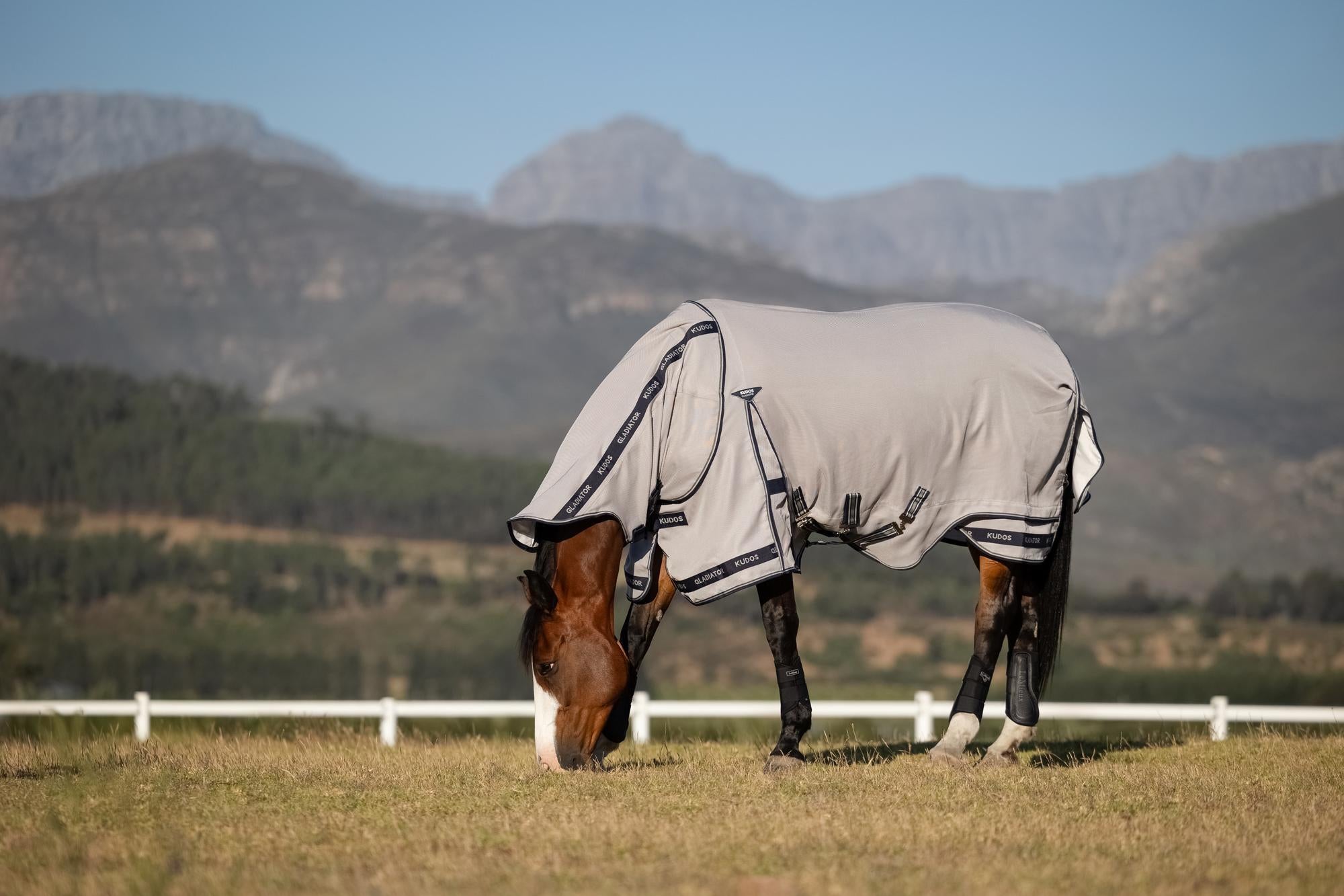 LeMieux Kudos Gladiator Fly Rug Grey | Equiflair