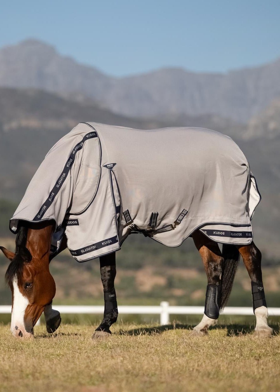 LeMieux Kudos Gladiator Fly Rug Grey | Equiflair