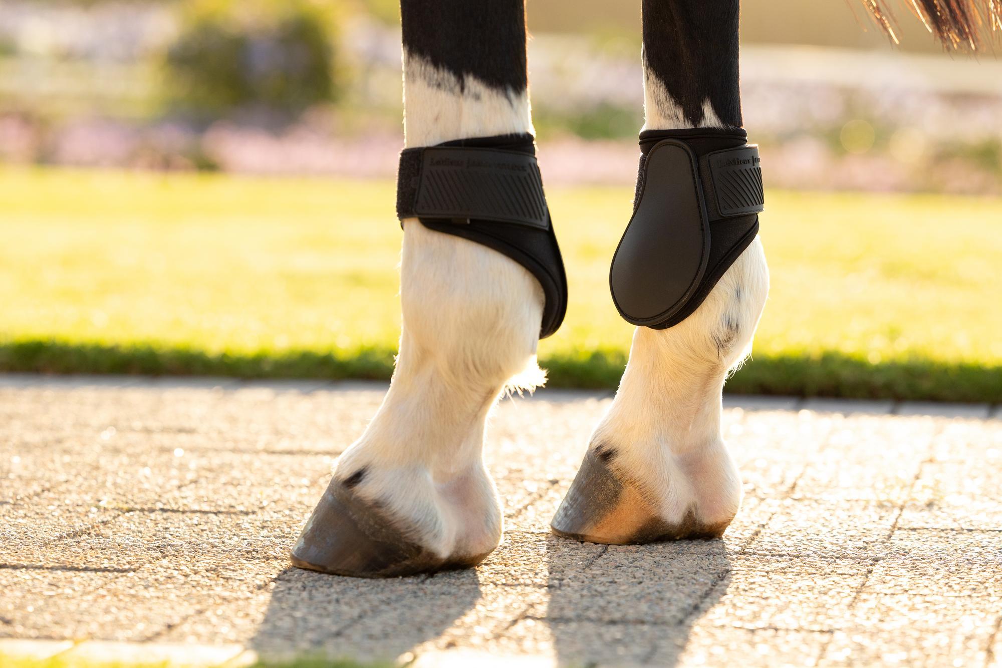 LeMieux Arika Fetlock Boot Black | Equiflair