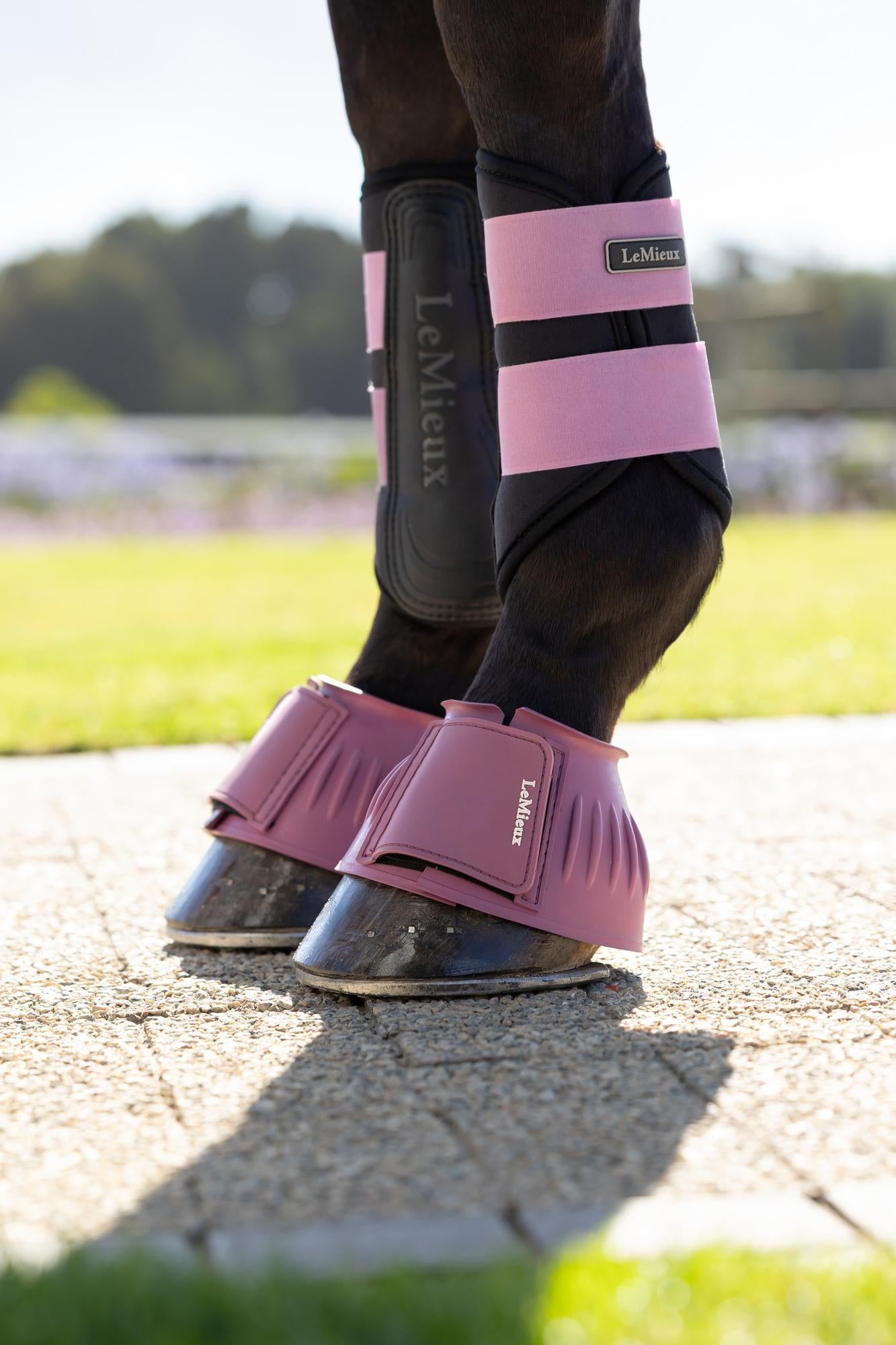 LeMieux Rubber Bell Boots Mallow