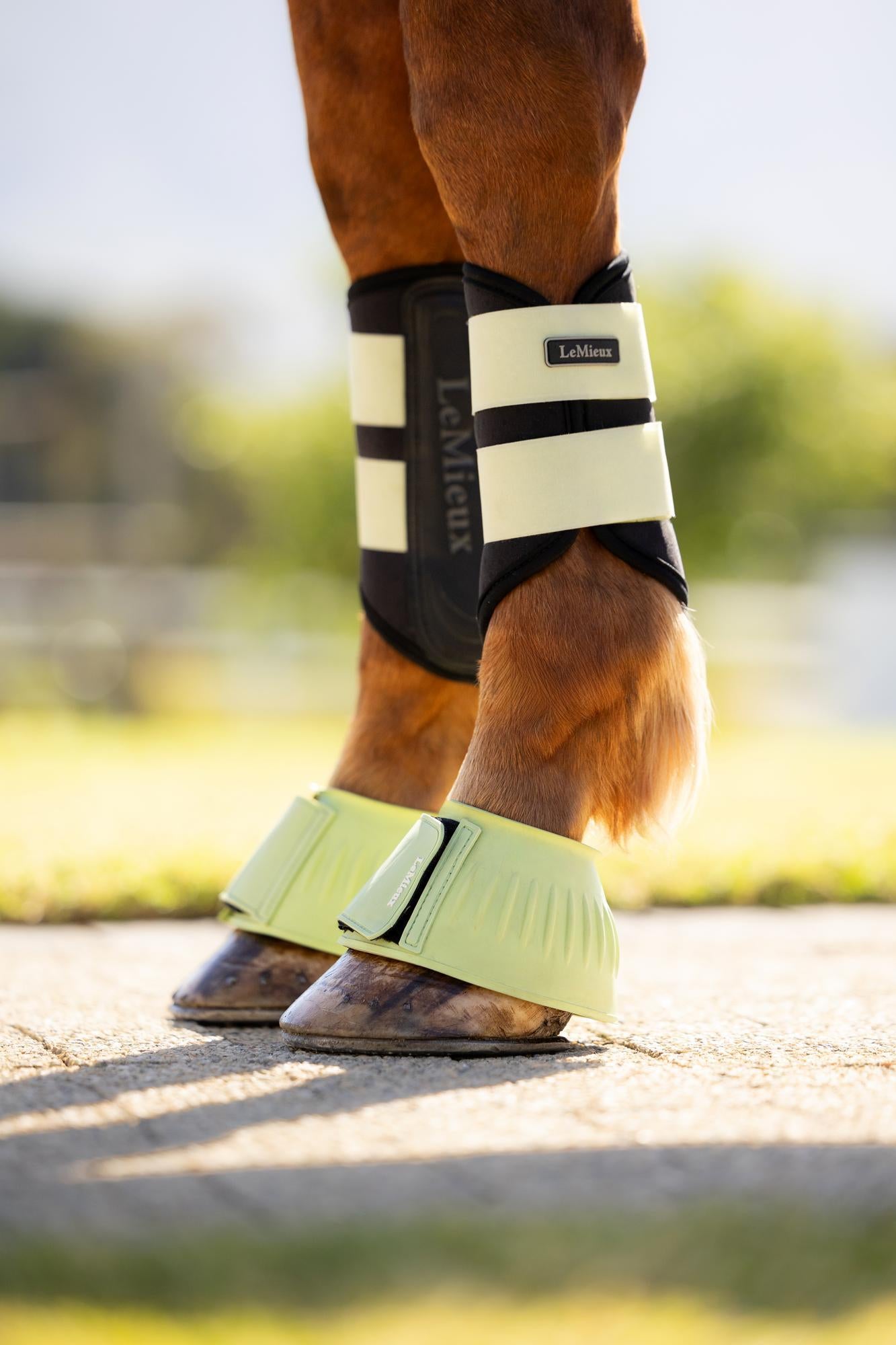 LeMieux Rubber Bell Boots Macaron