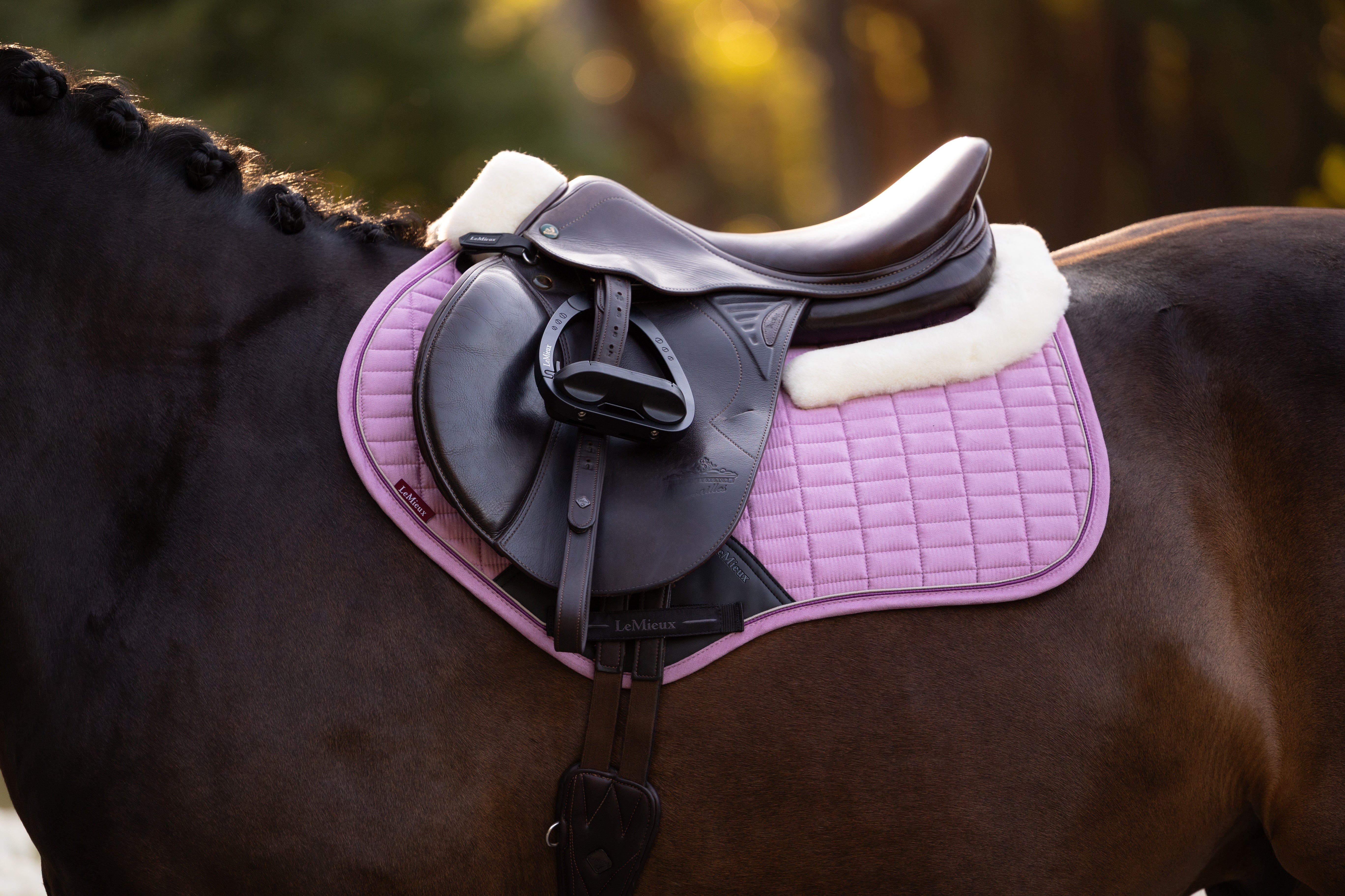 LeMieux Merino+ Suede Close Contact Square Saddle Pad Fondant | Equiflair