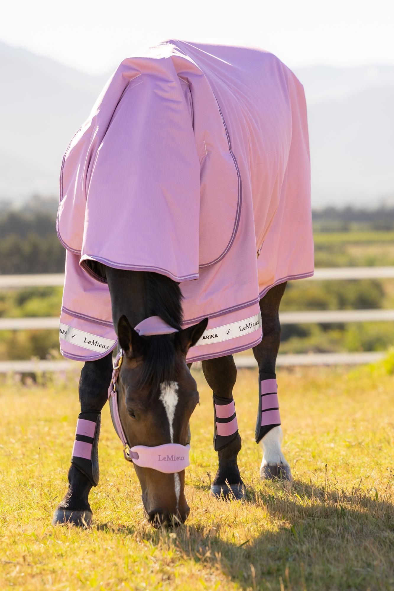 LeMieux Arika Ripstop 50g Turnout Rug Fondant