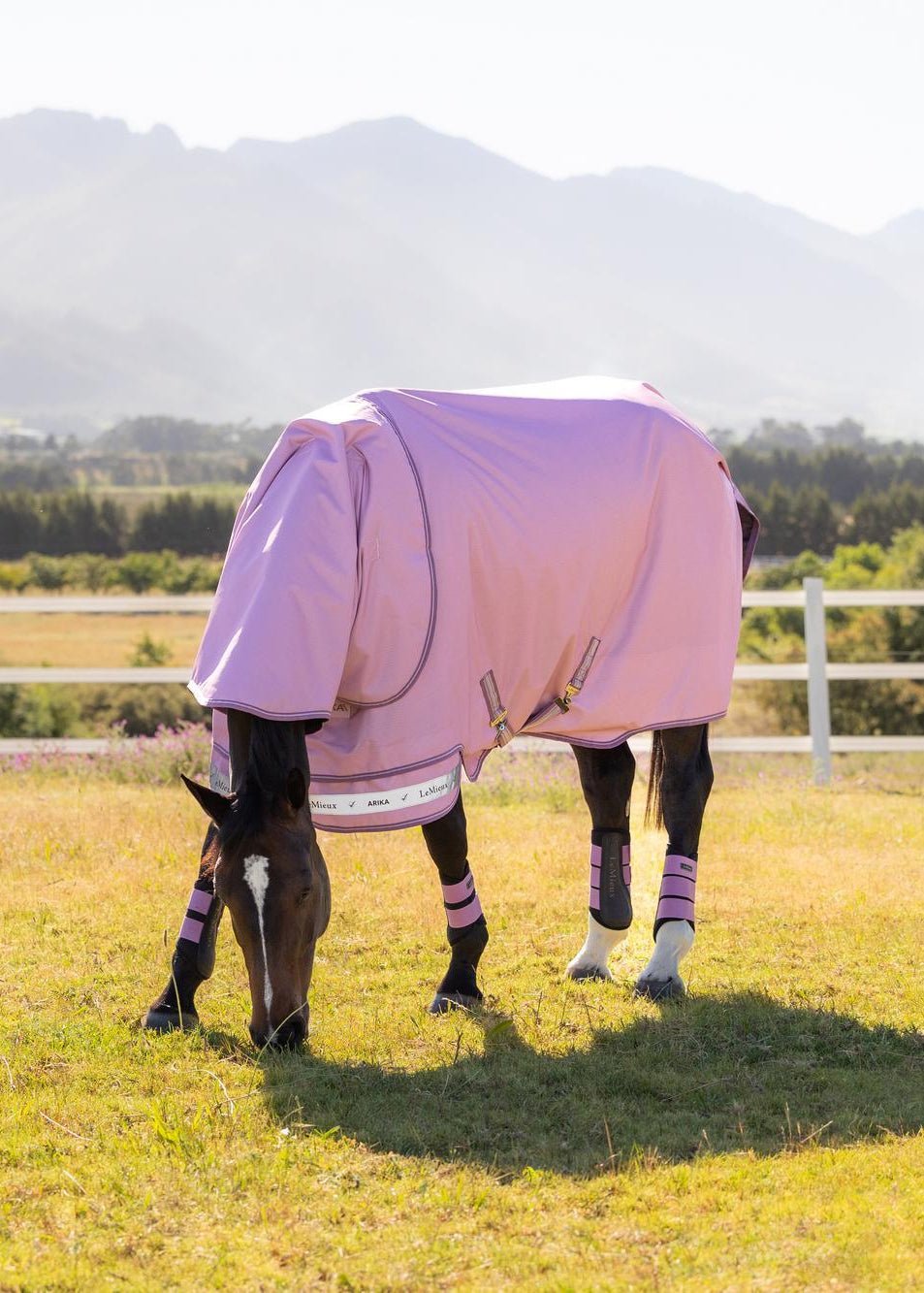 LeMieux Arika Ripstop 50g Turnout Rug Fondant | Equiflair
