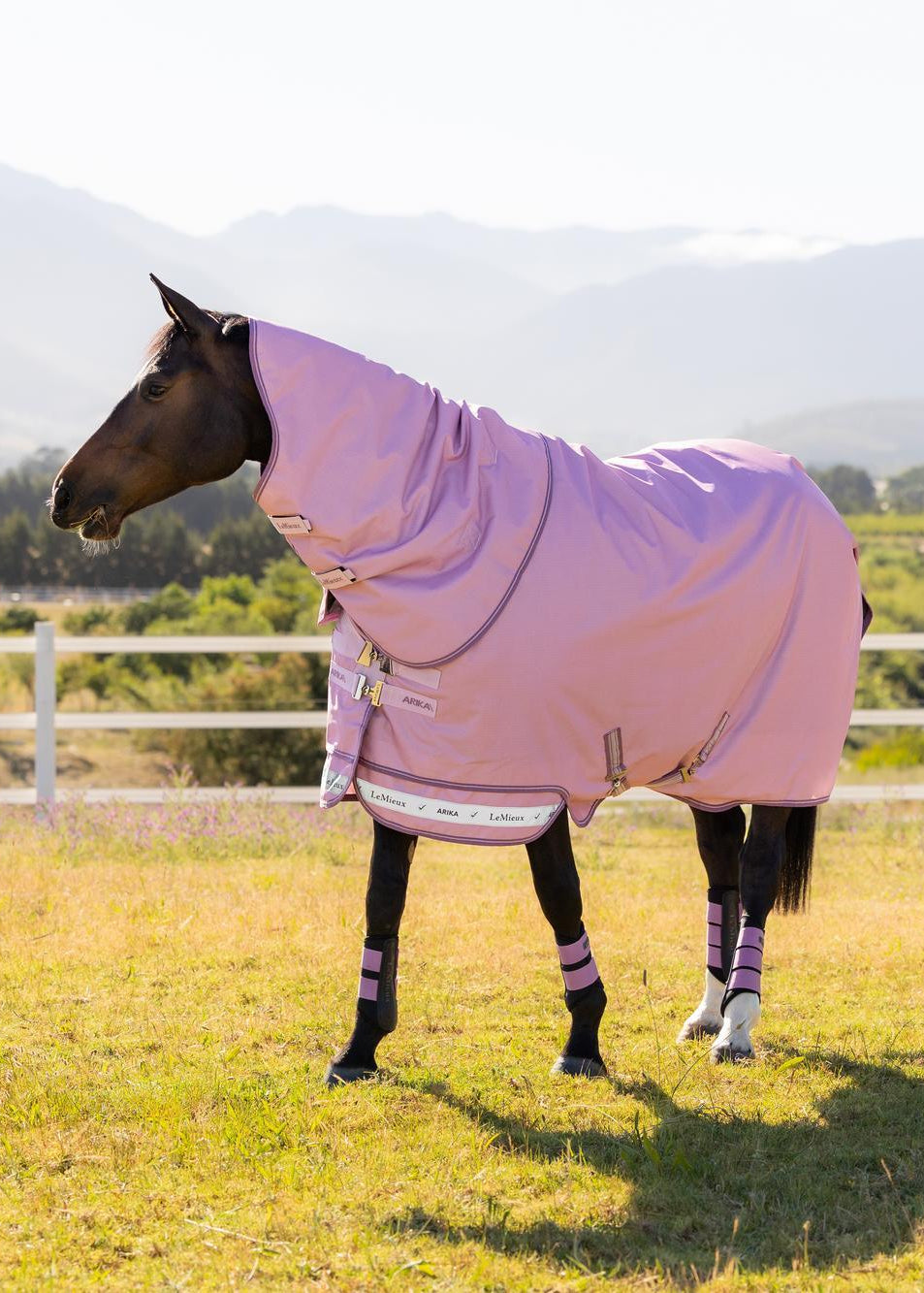 LeMieux Arika Ripstop 50g Turnout Rug Fondant