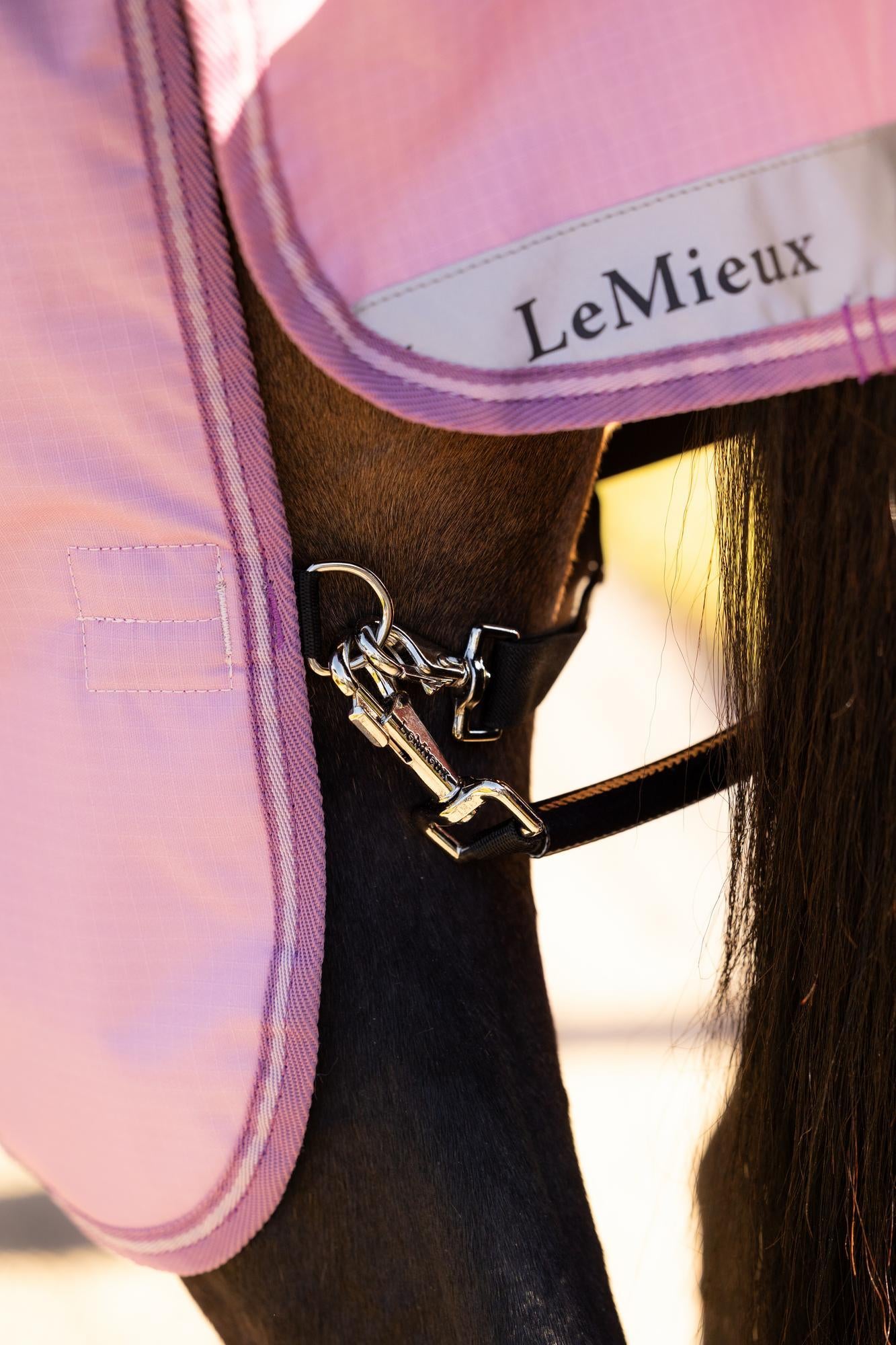 LeMieux Arika Ripstop 50g Turnout Rug Fondant | Equiflair