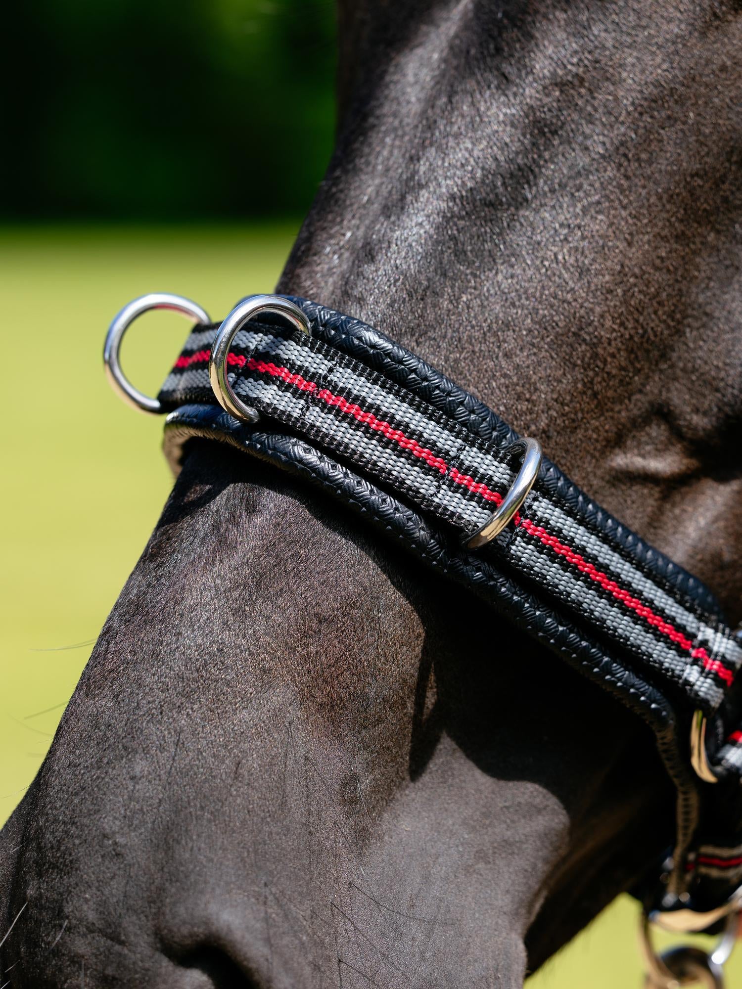 Black horse wearing LeMieux Cavesson Lunge Headcollar with red and grey stripes for equestrian training.