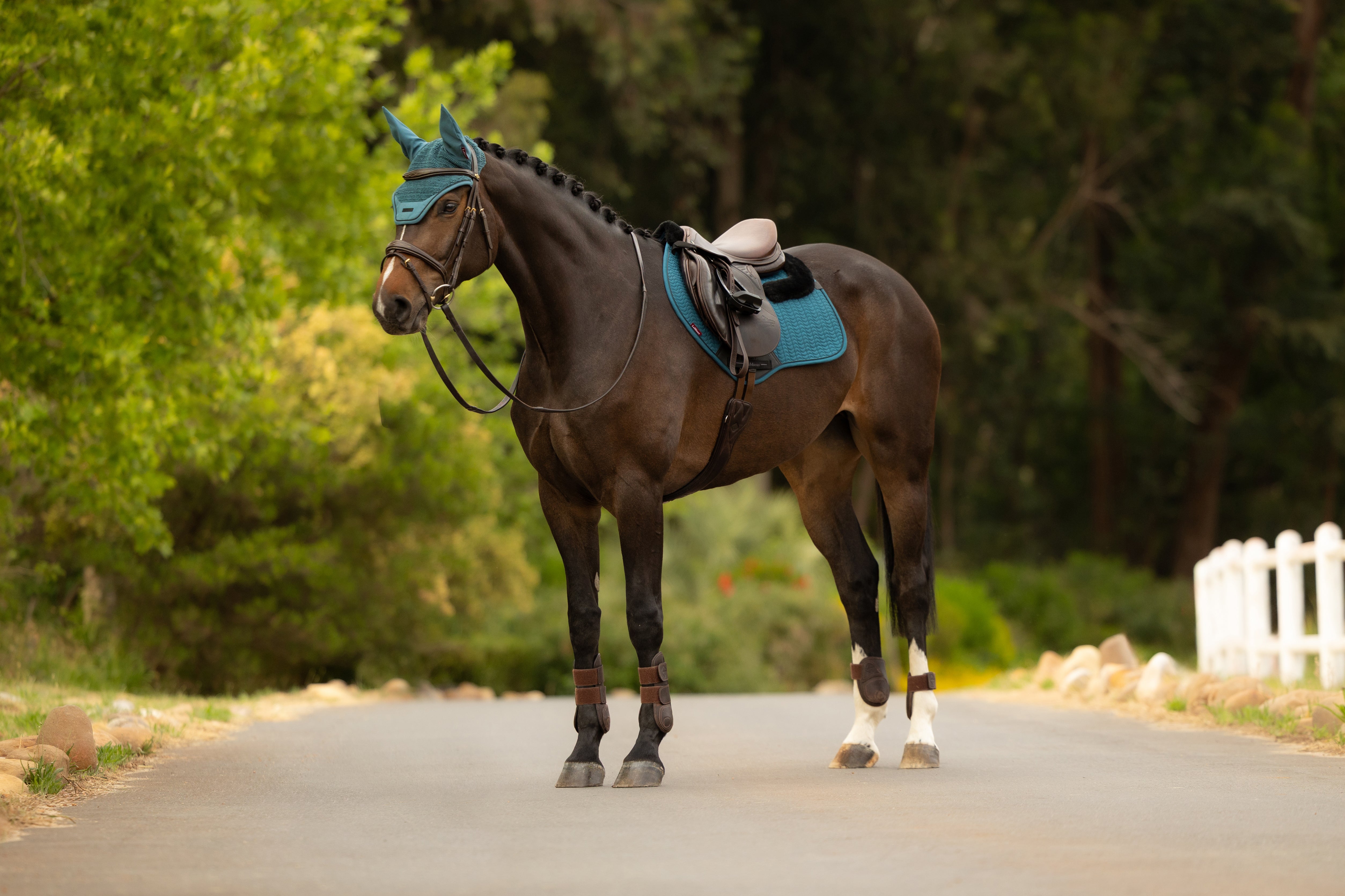 LeMieux SS26 Colour Collection Jungle