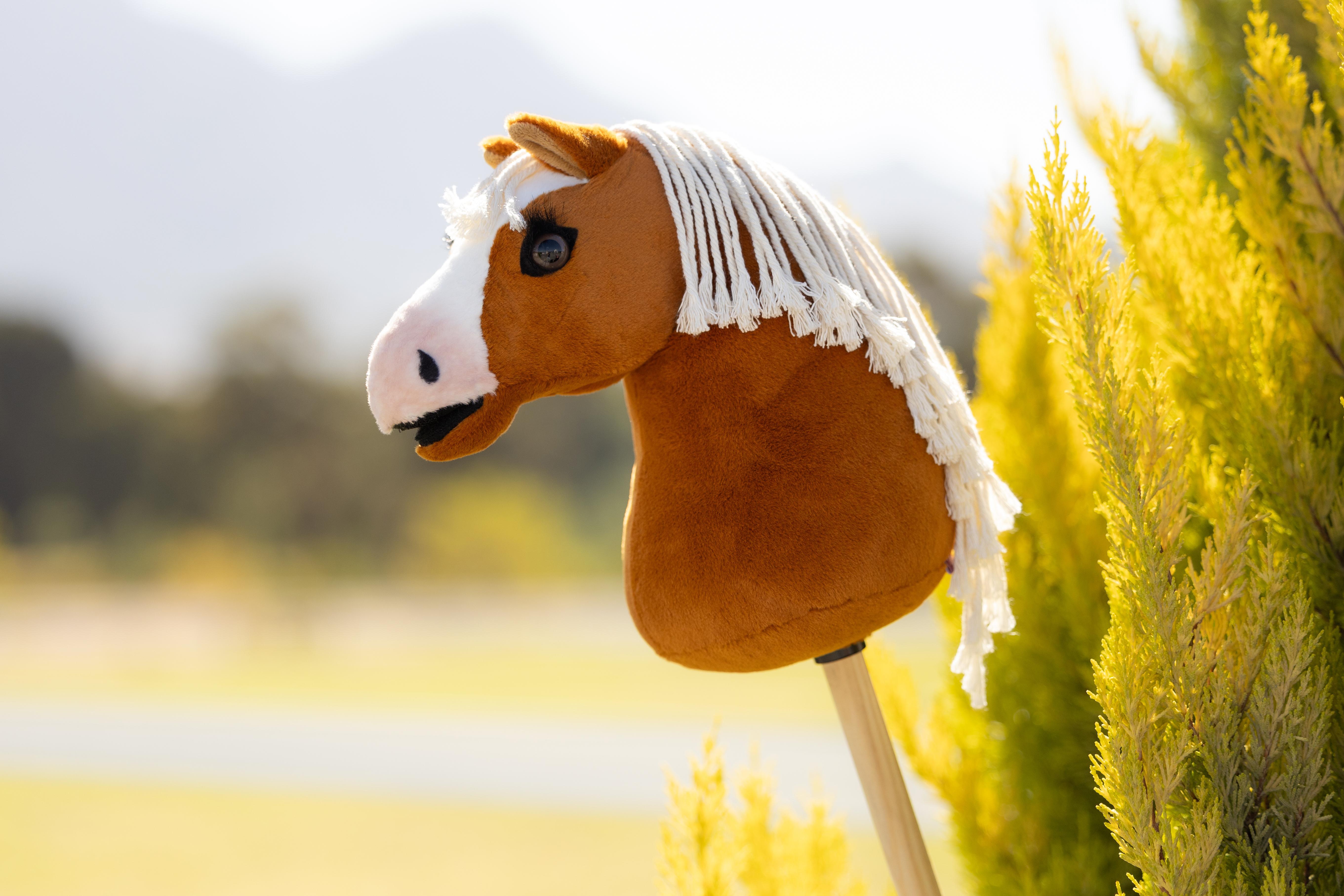 LeMieux Hobby Horse Mini Sundance | Equiflair