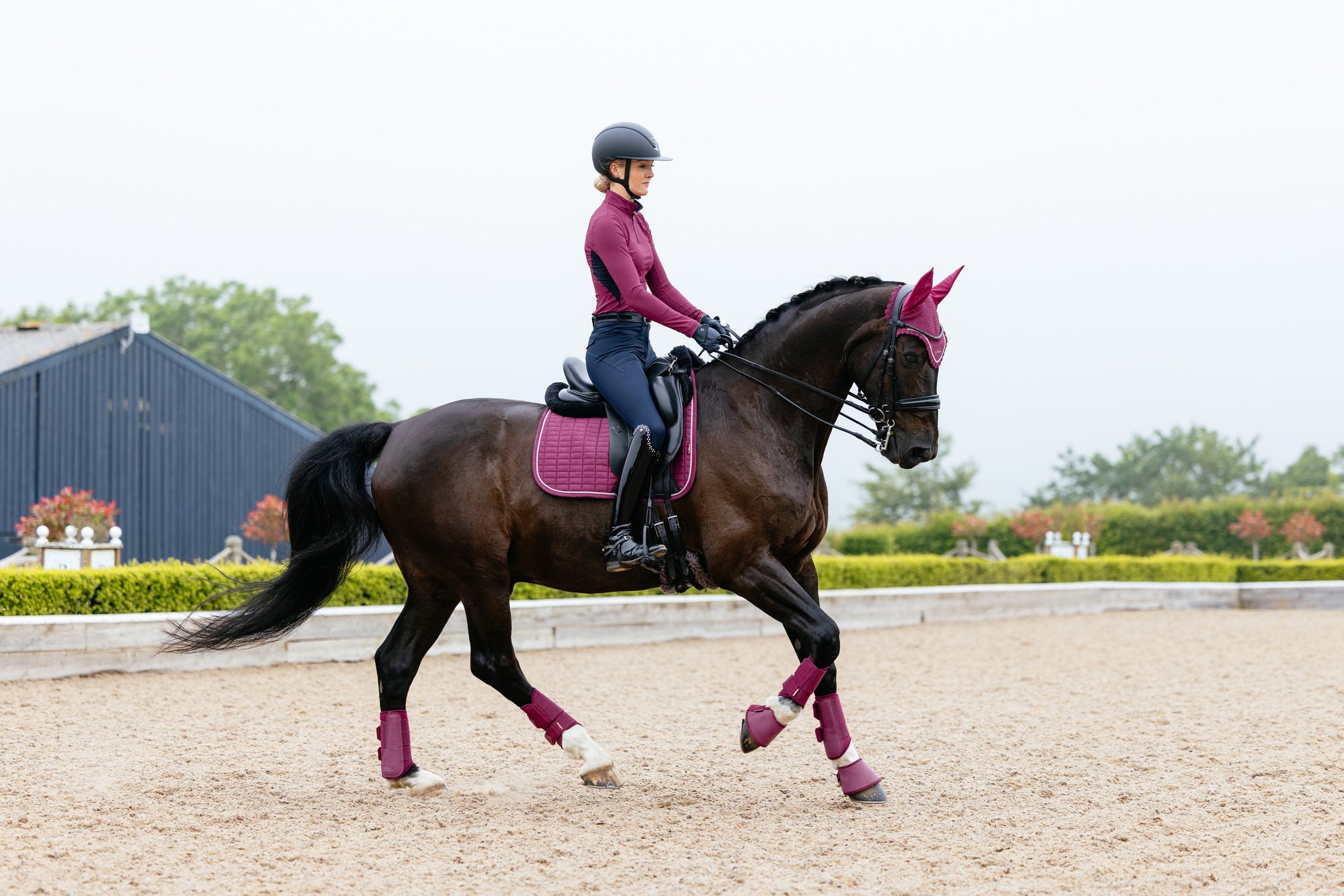 LeMieux Suede Dressage Square Blackberry