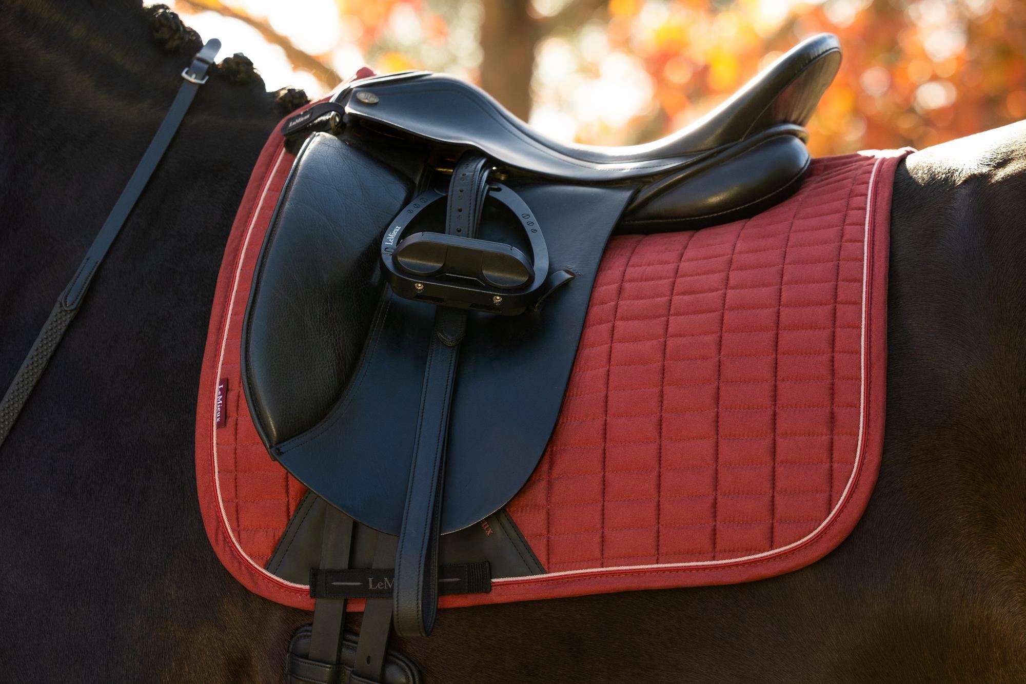 LeMieux Suede Dressage Square Russet